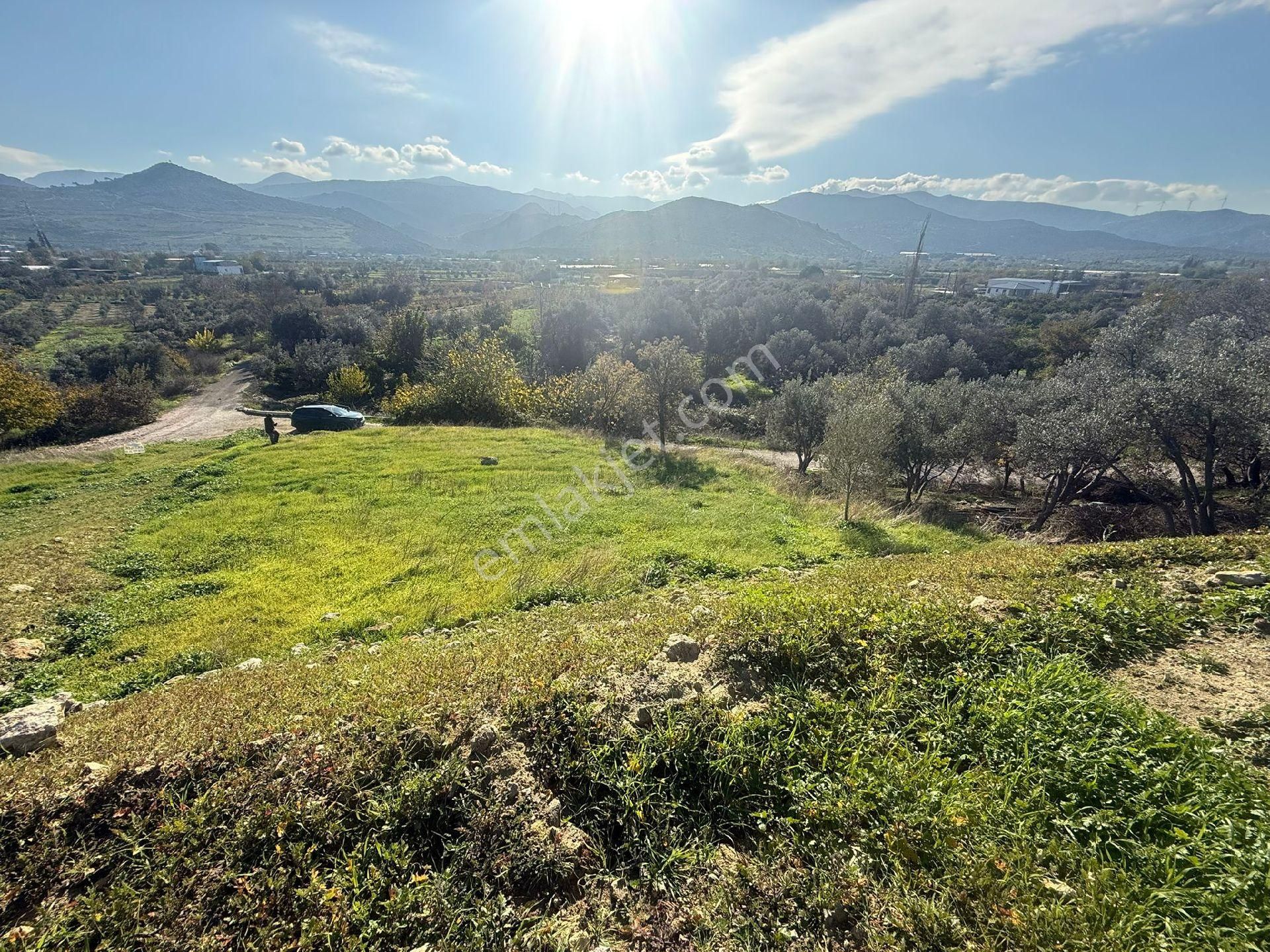 Süleymanlı - Görsel 3