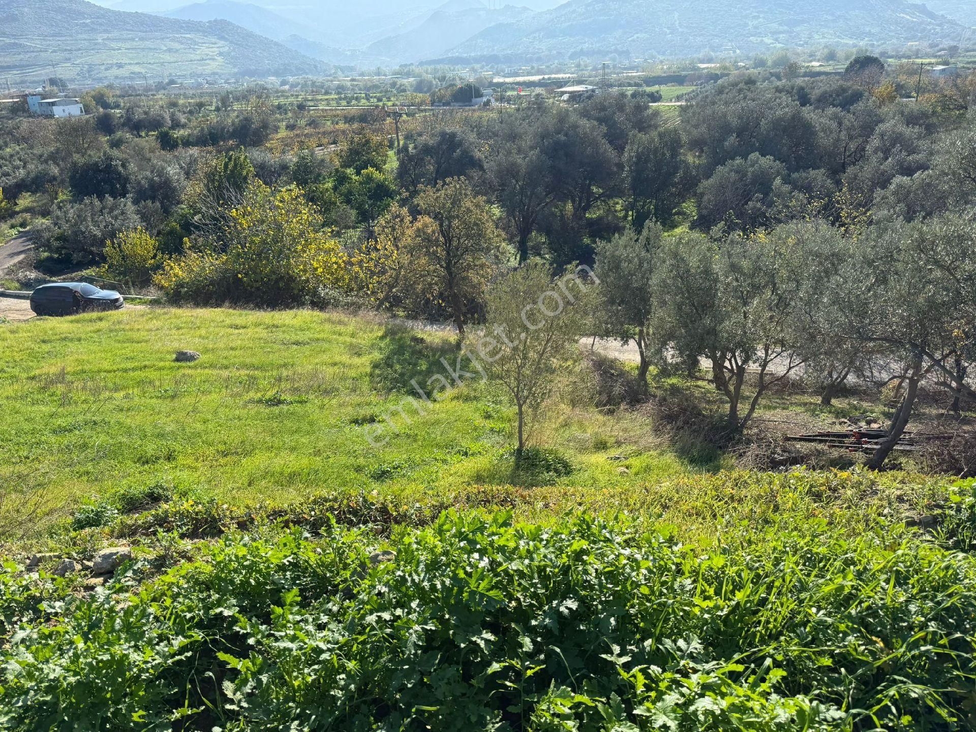 Süleymanlı - Görsel 14