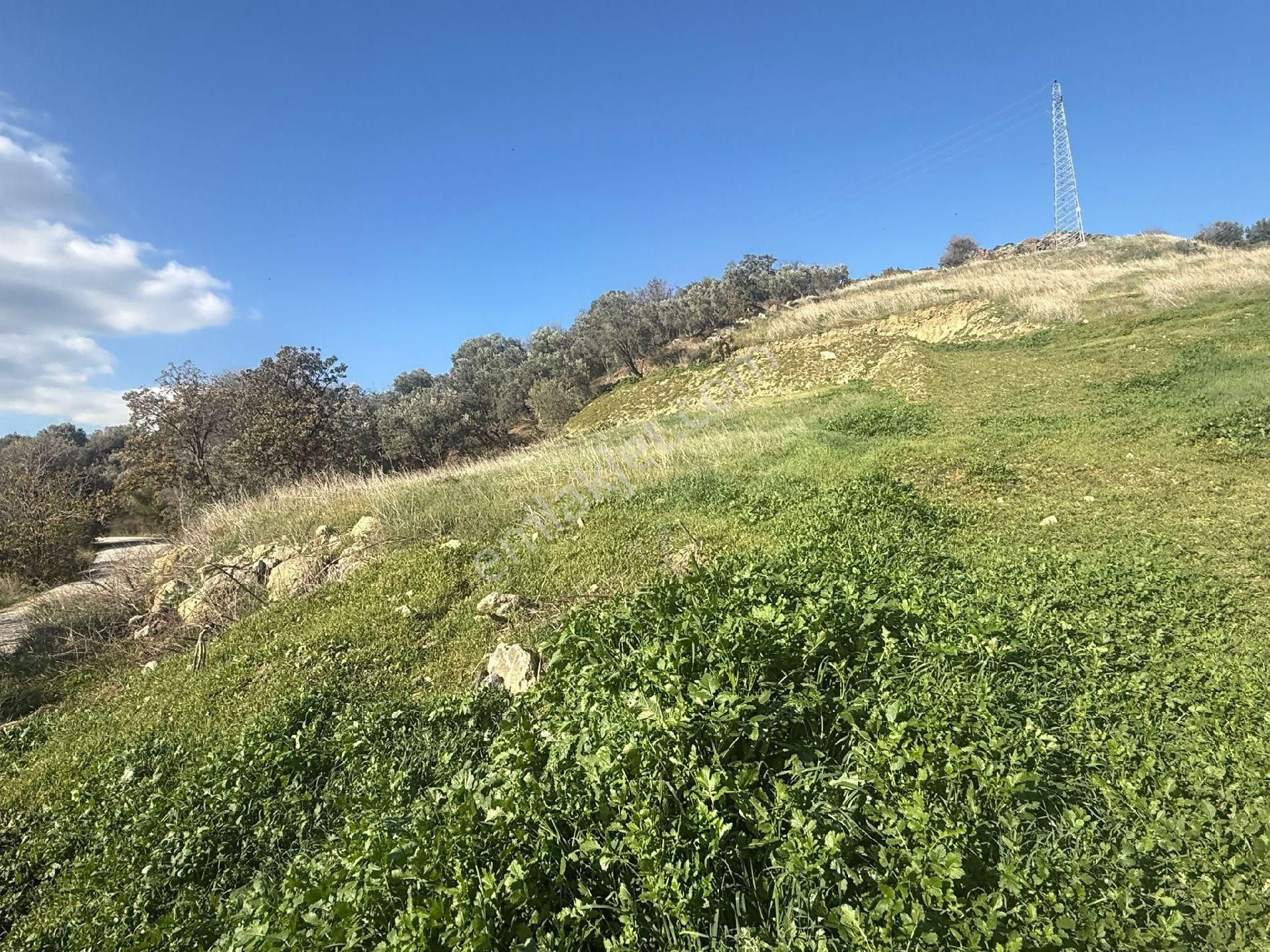 Süleymanlı - Görsel 12