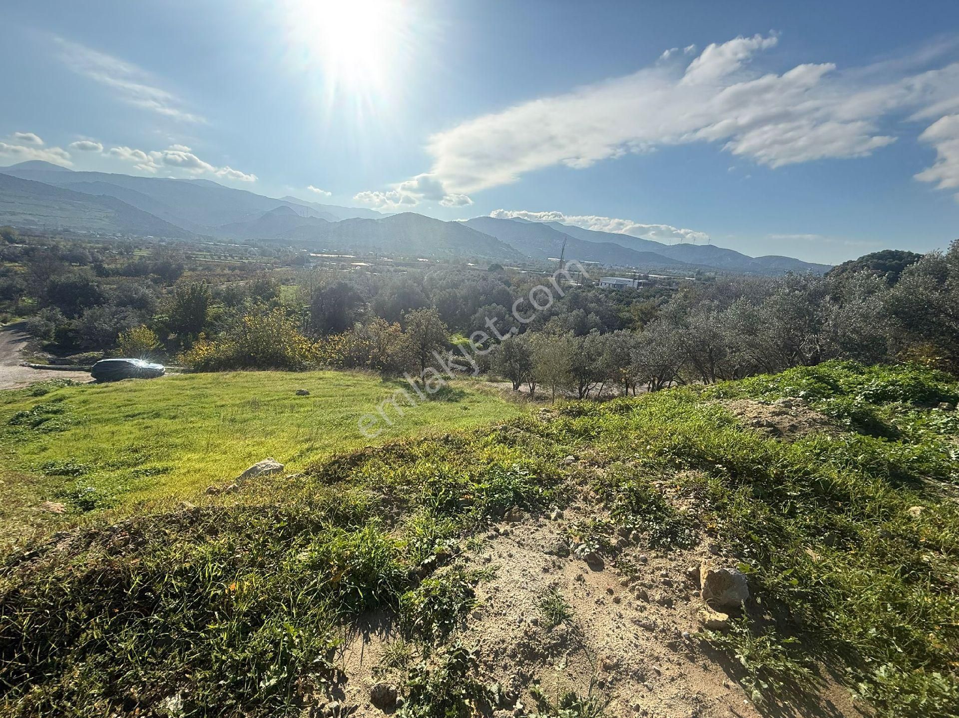 Süleymanlı - Görsel 11