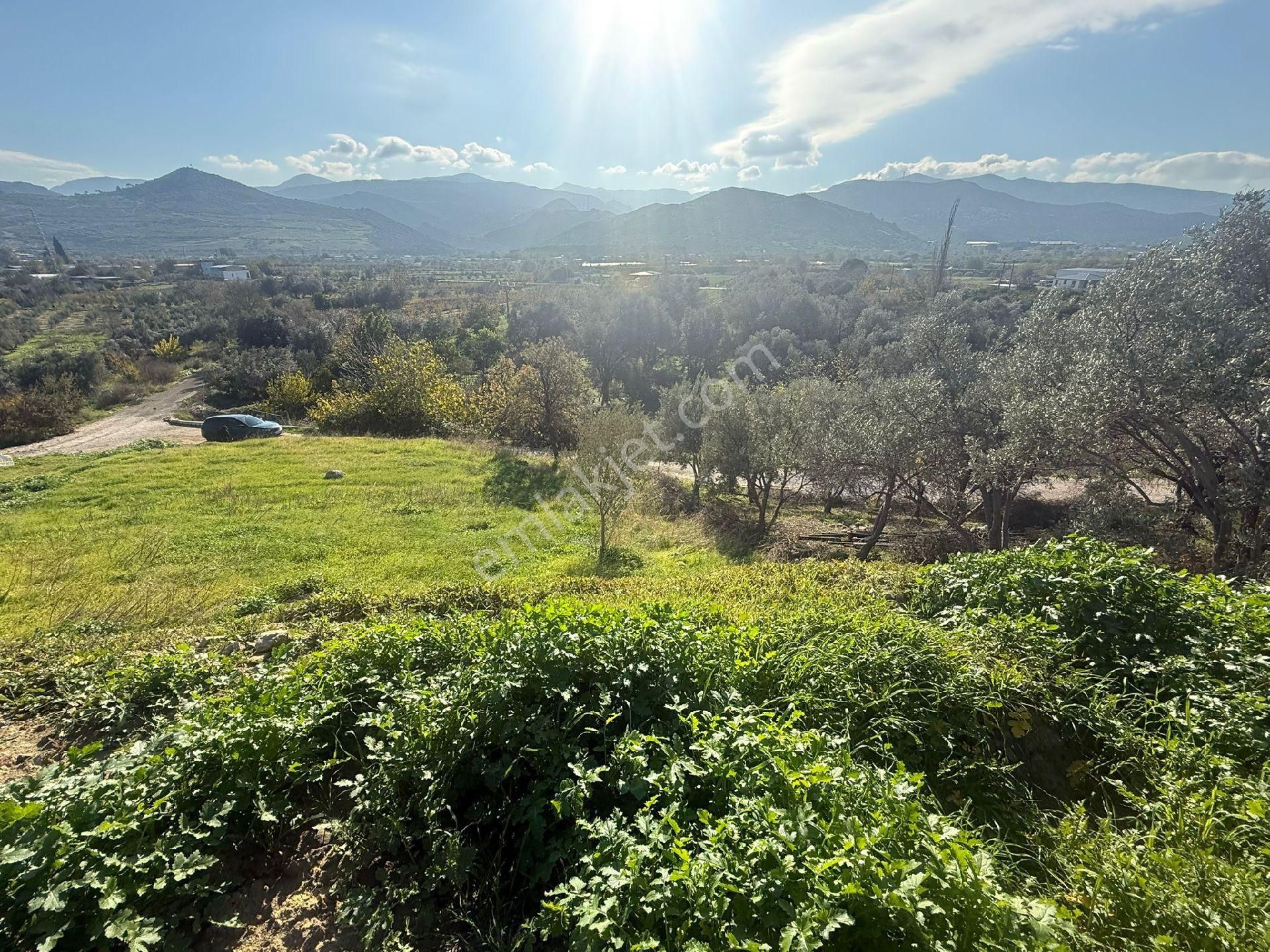 Süleymanlı - Görsel 8