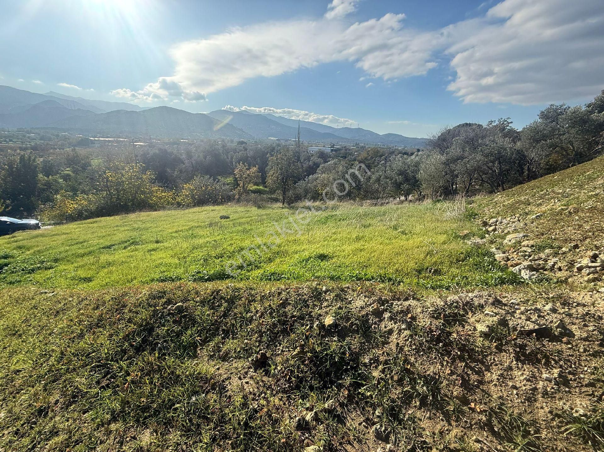 Süleymanlı - Görsel 10