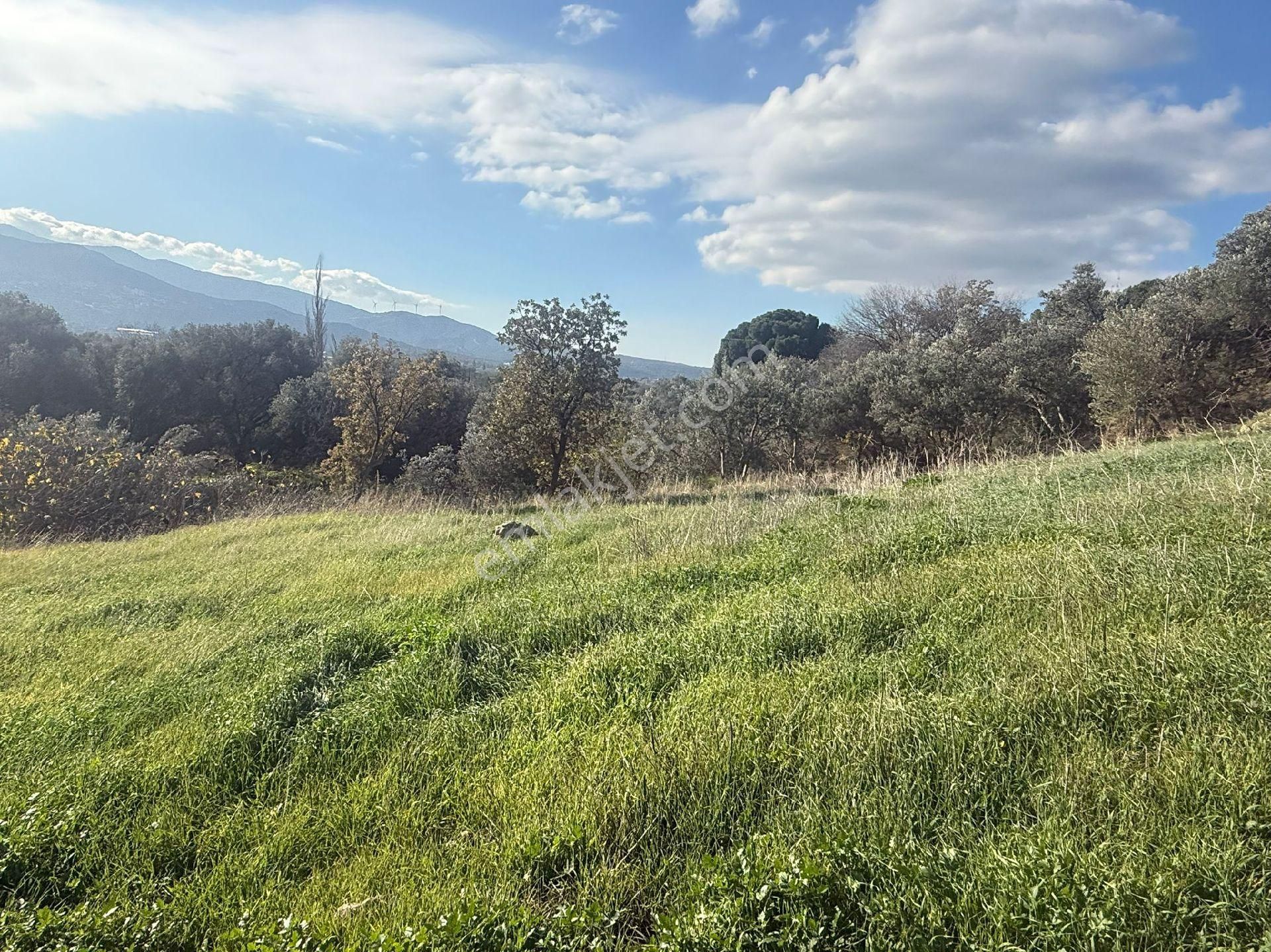 Süleymanlı - Görsel 18