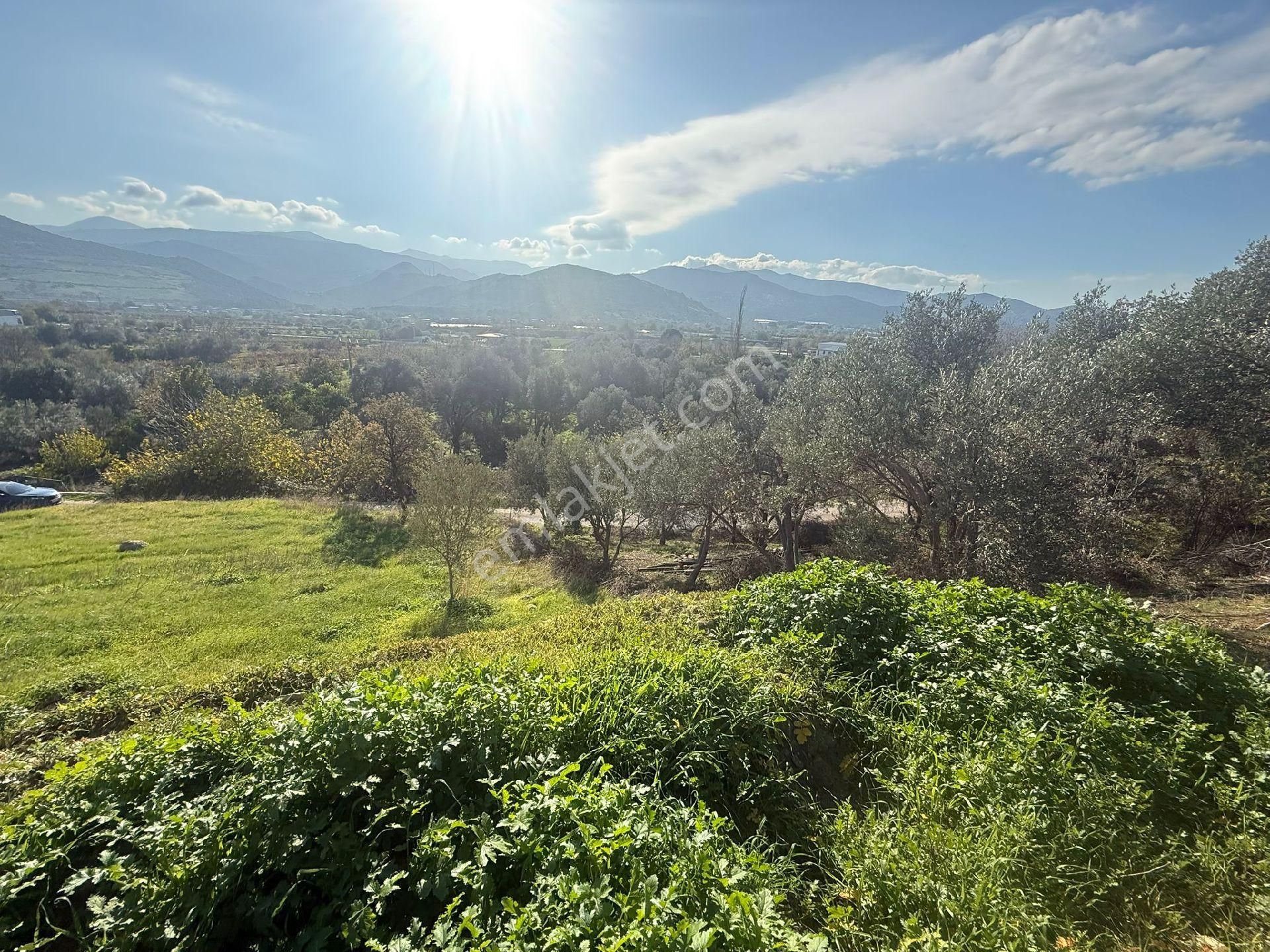 Süleymanlı - Görsel 5