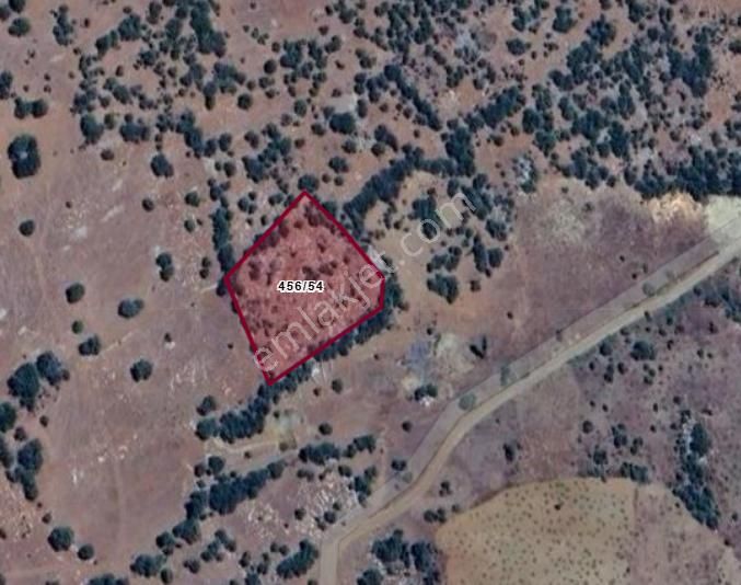 Konya Bozkır Hamzalar Köyünde 2.022 M² Bağ Satılıktır