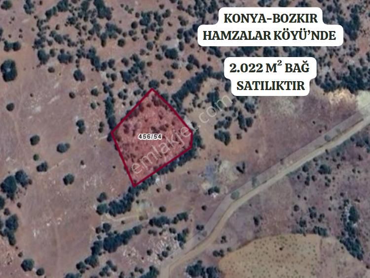 Konya Bozkır Hamzalar Köyünde 2.022 M² Bağ Satılıktır - Görsel 2
