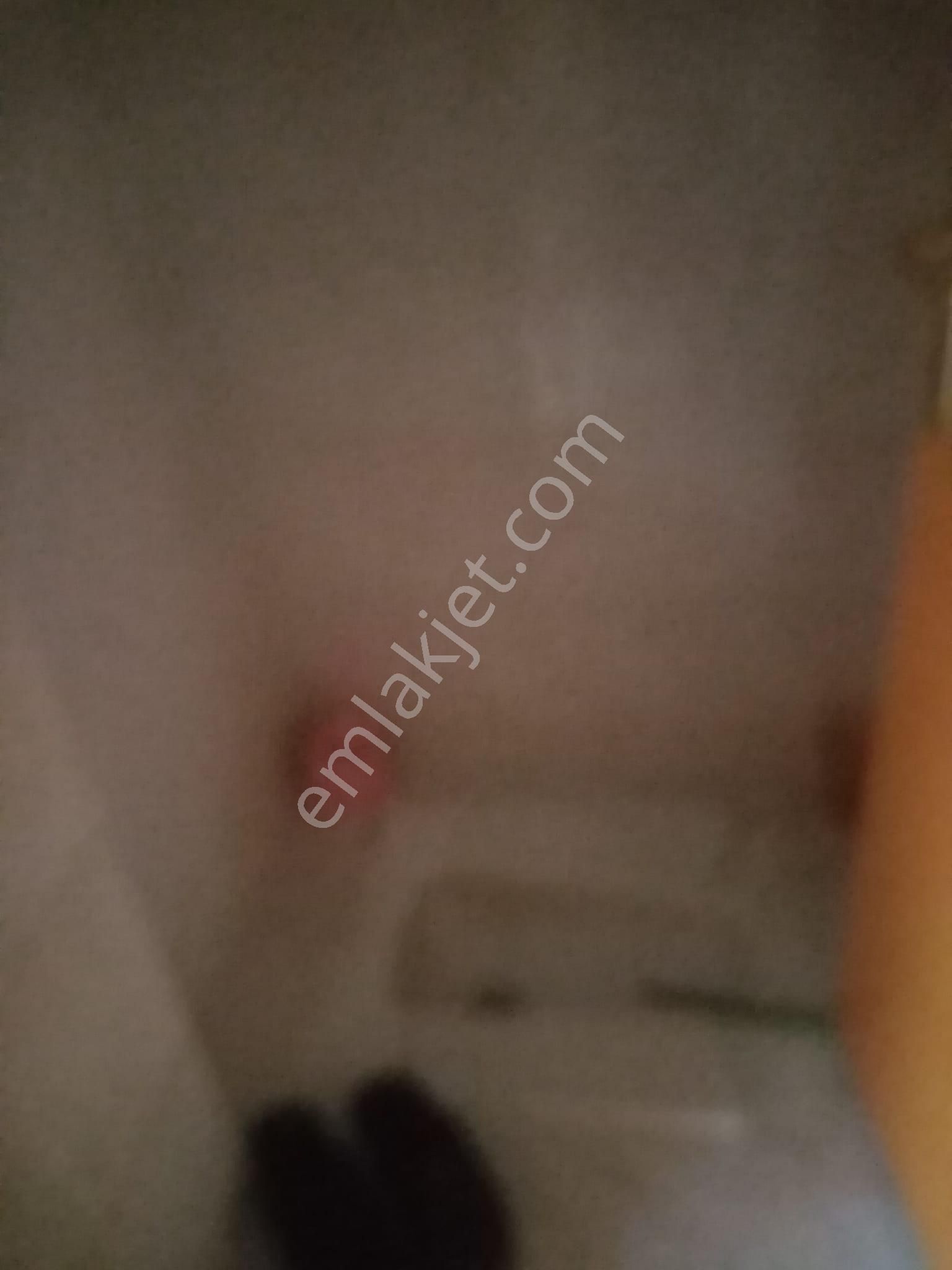 Balıkesir Plevne Mah.demirdağ Emlaktan Kiralık 3+1kombili Daire - Görsel 16
