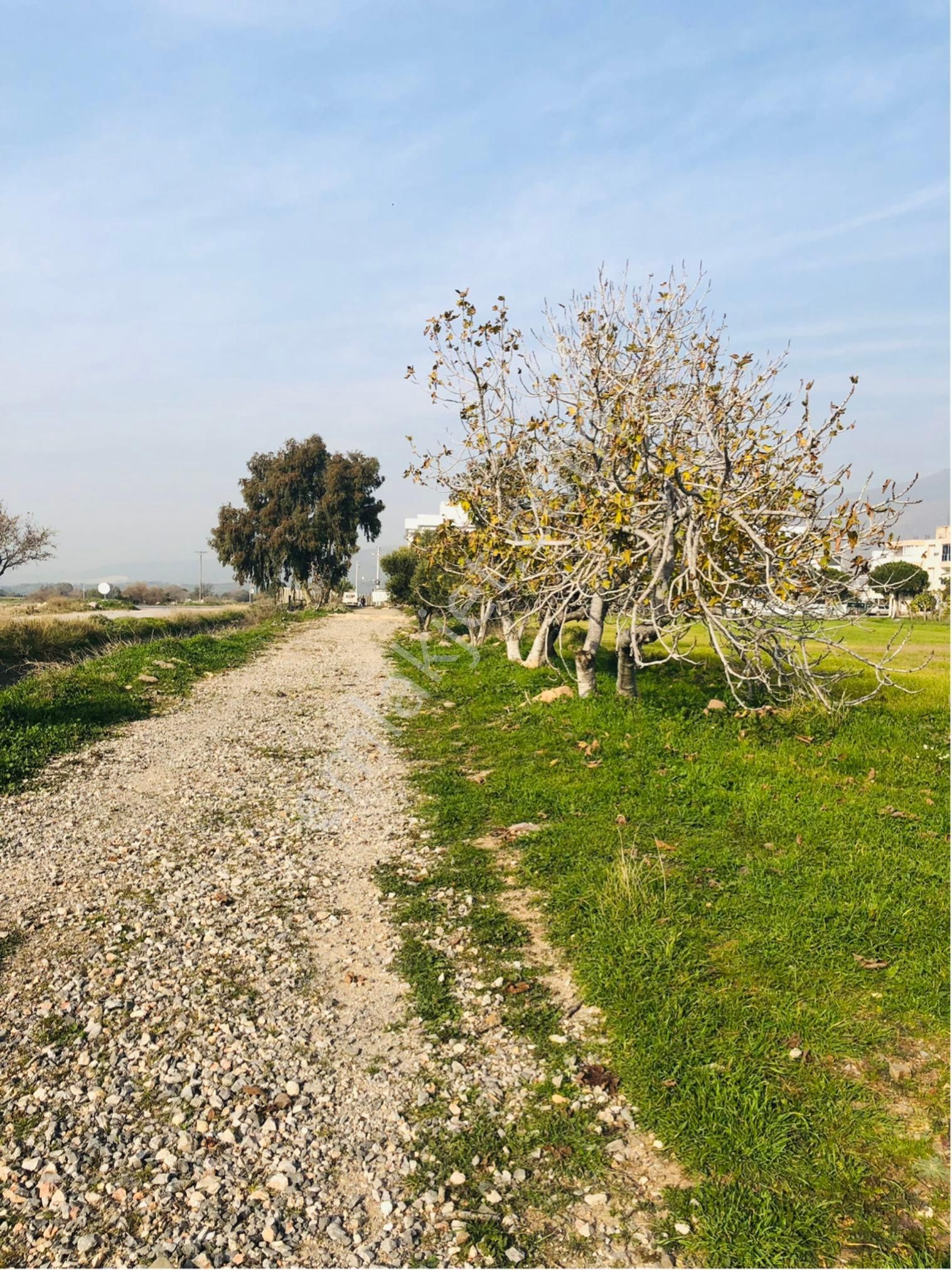 Satılık Tarla - Görsel 2