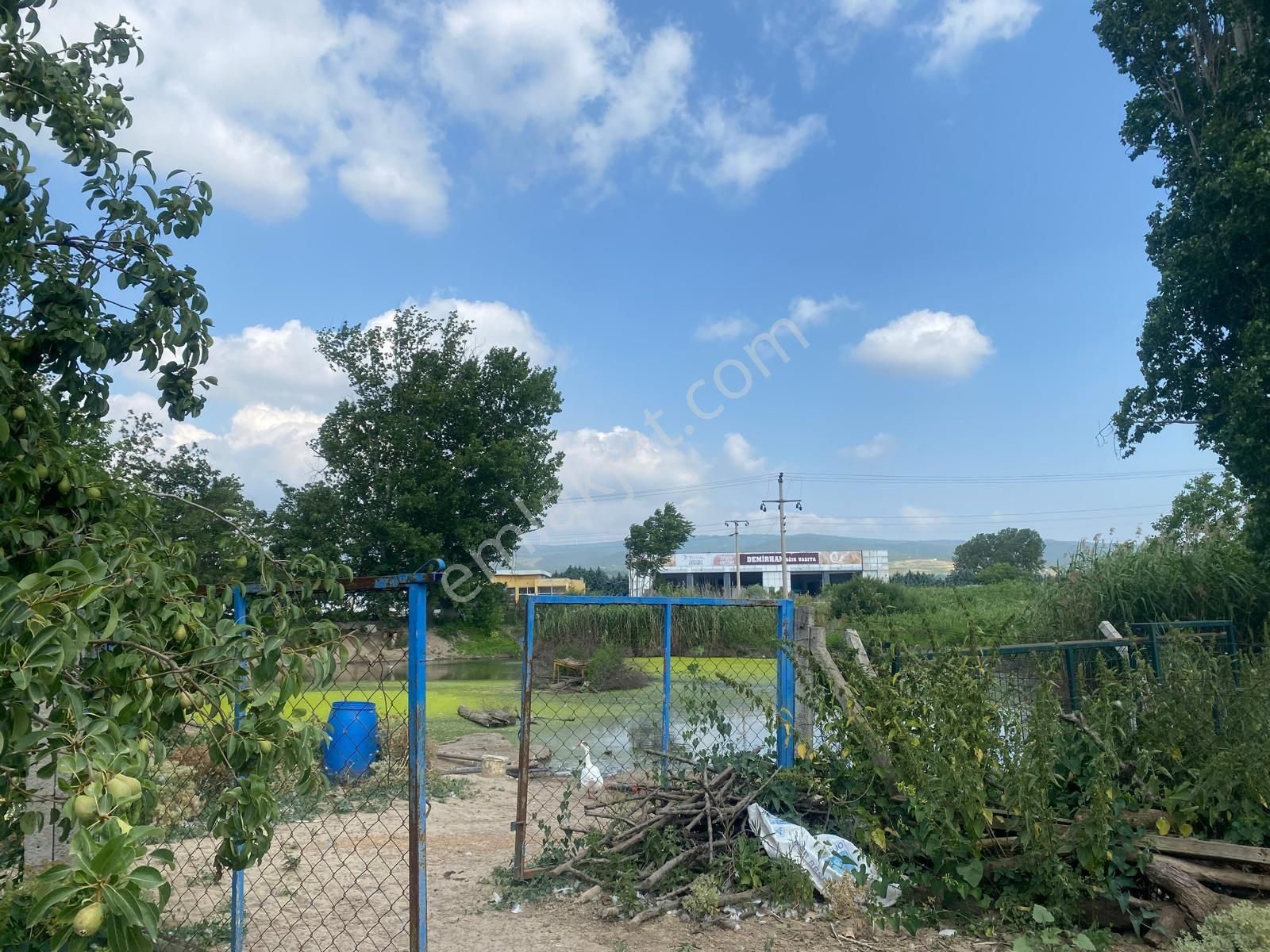 Satılık Bağ Bahçe Susu - Görsel 13