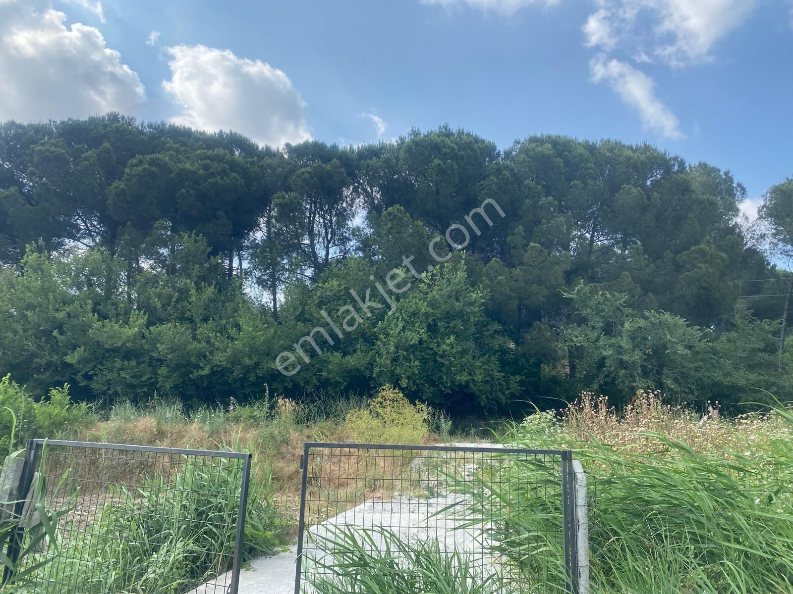 Satılık Bağ Bahçe Susu - Görsel 18