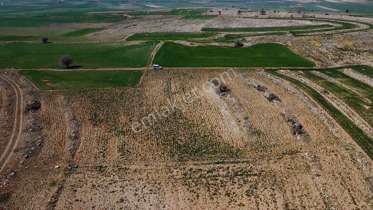 Bozova 5600m2 Sûper Yatırımlık - Görsel 5