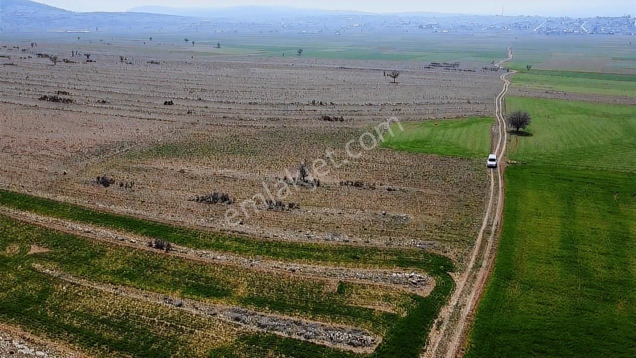 Bozova 5600m2 Sûper Yatırımlık - Görsel 7