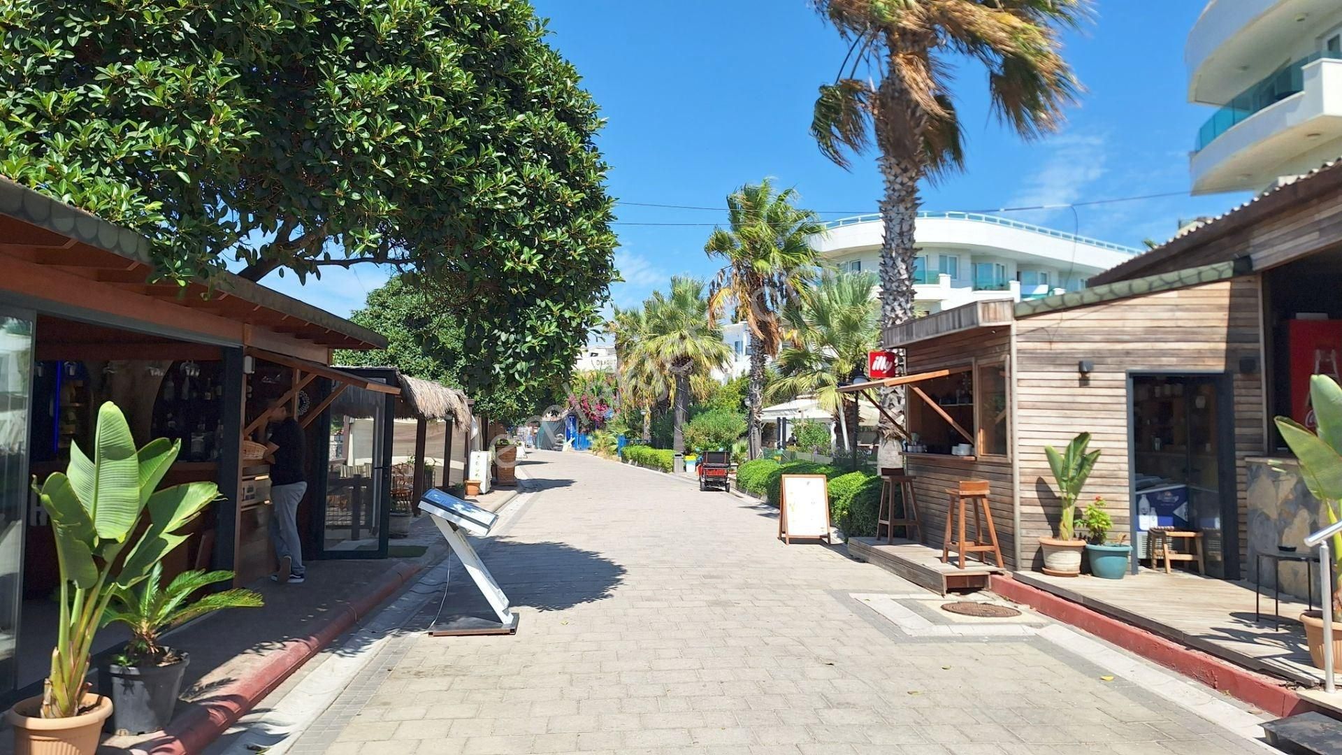 Turgutreis Bahçelievler'de,ferah, Geniş Üst Kat,3+1,denize Düz 2 Dakika, Satılık Daire - Görsel 4