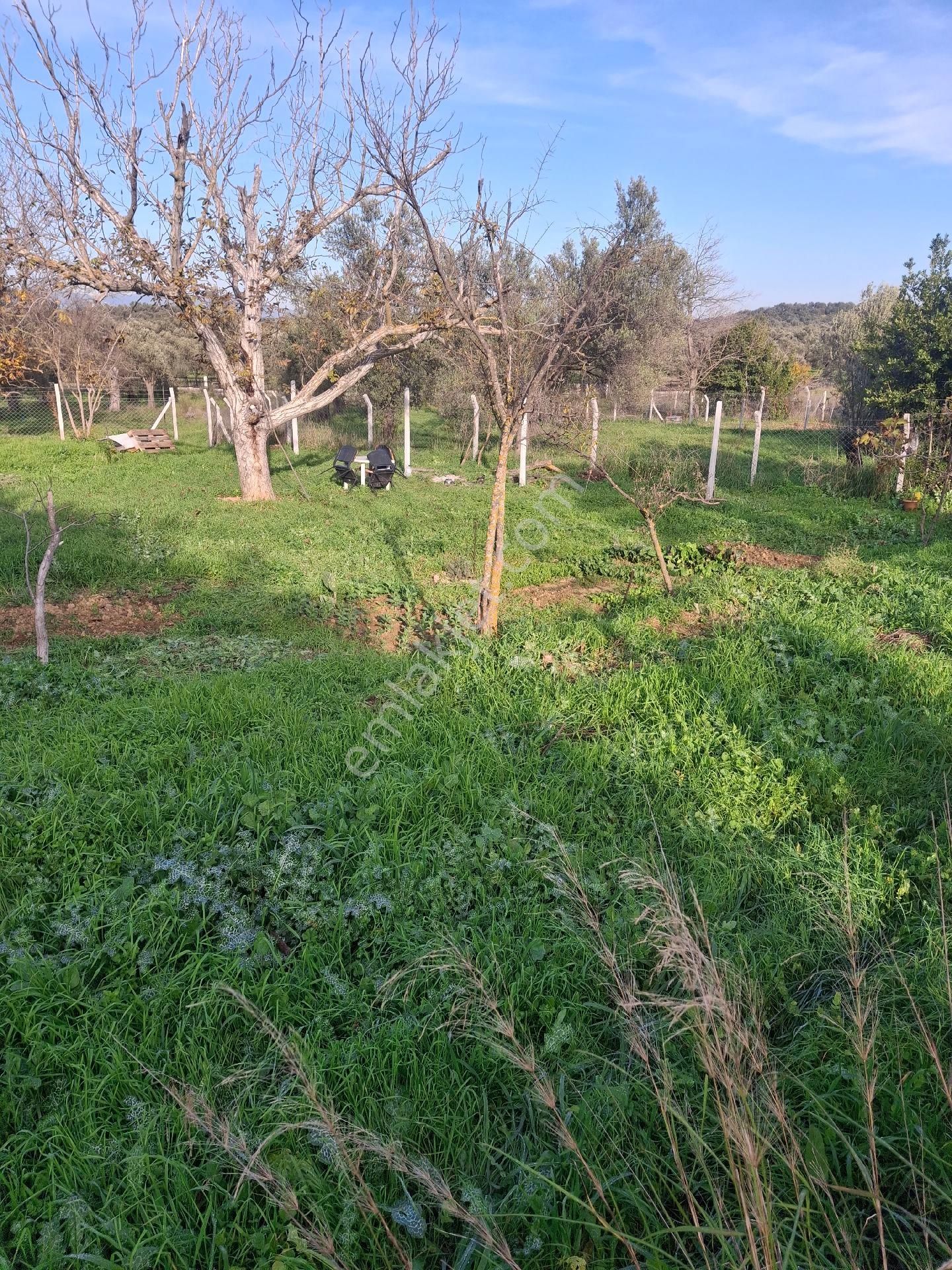 Mirya'dan - Görsel 6