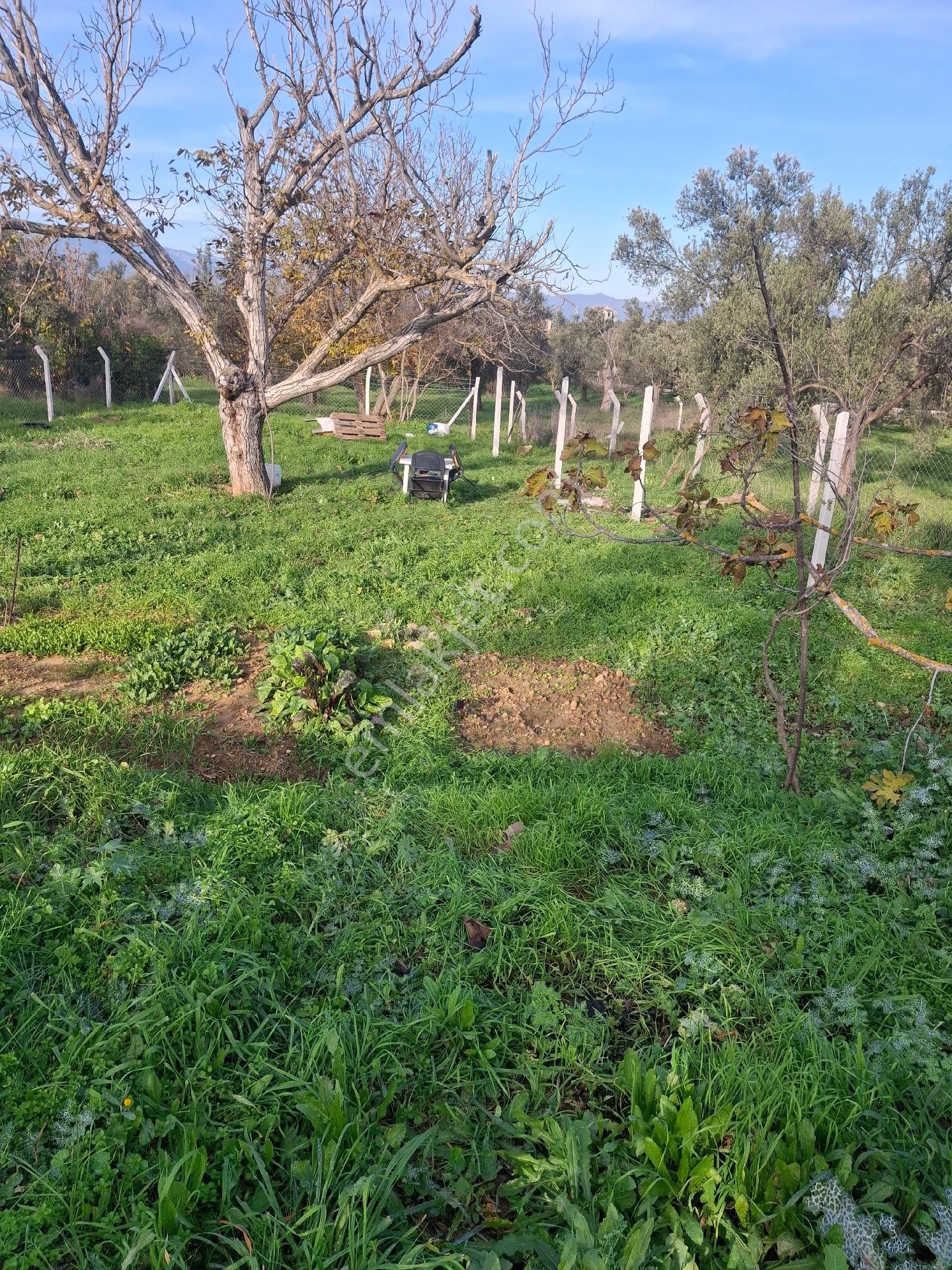 Mirya'dan - Görsel 20