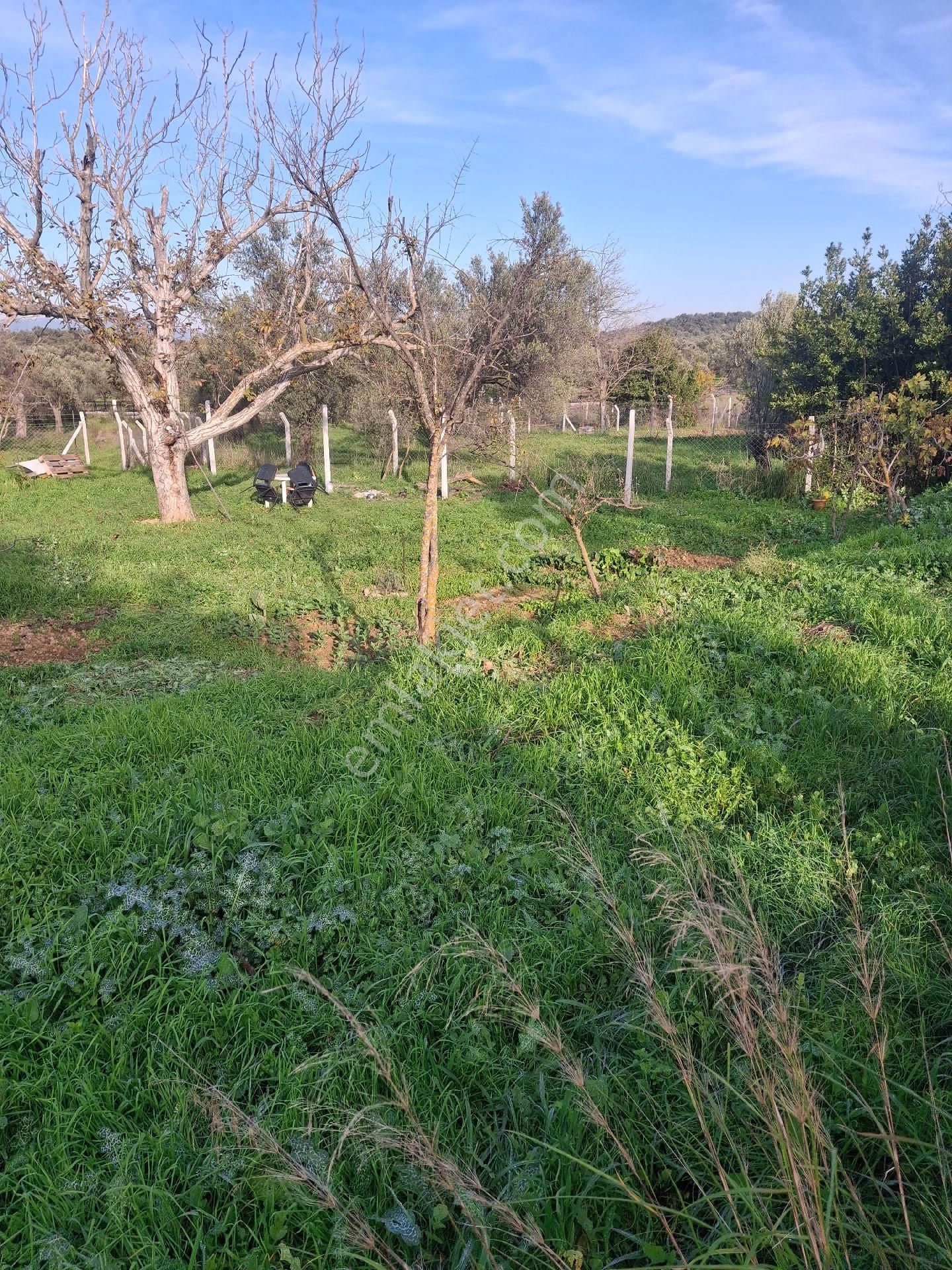 Mirya'dan - Görsel 11