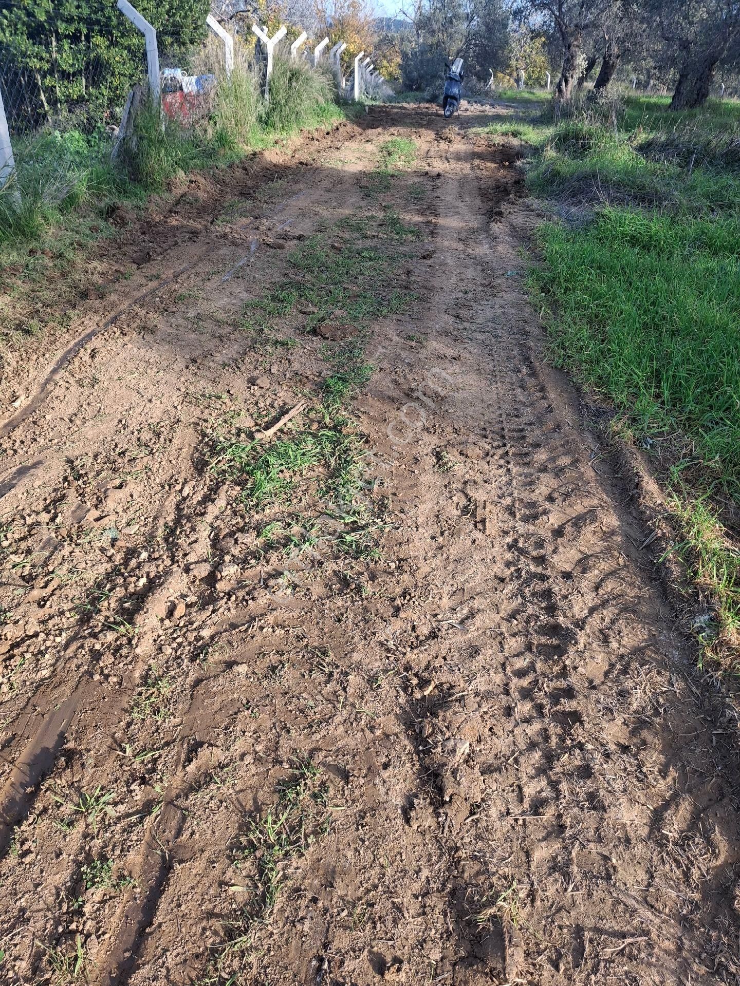 Mirya'dan - Görsel 8