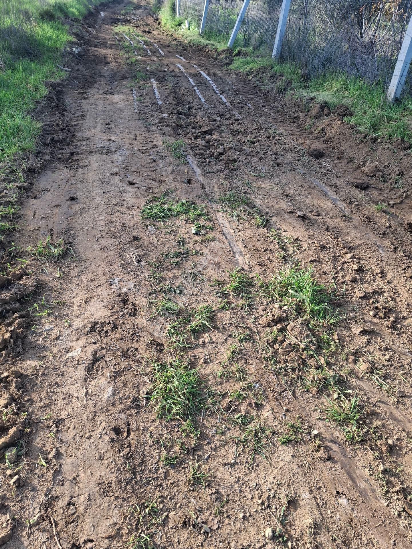 Mirya'dan - Görsel 7