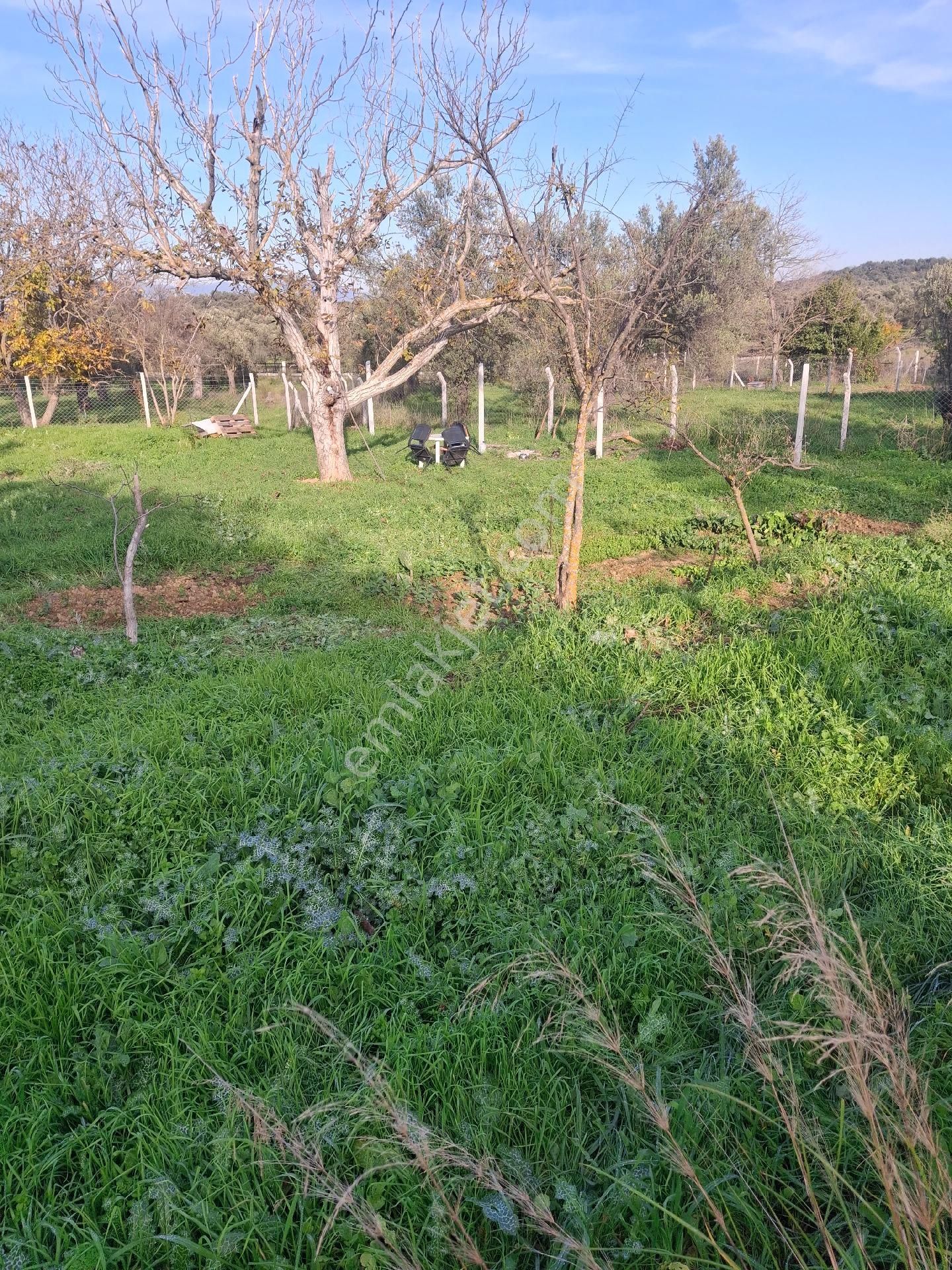 Mirya'dan - Görsel 4