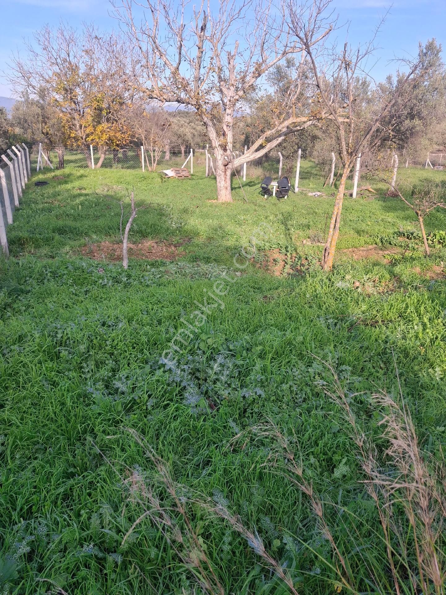 Mirya'dan - Görsel 2