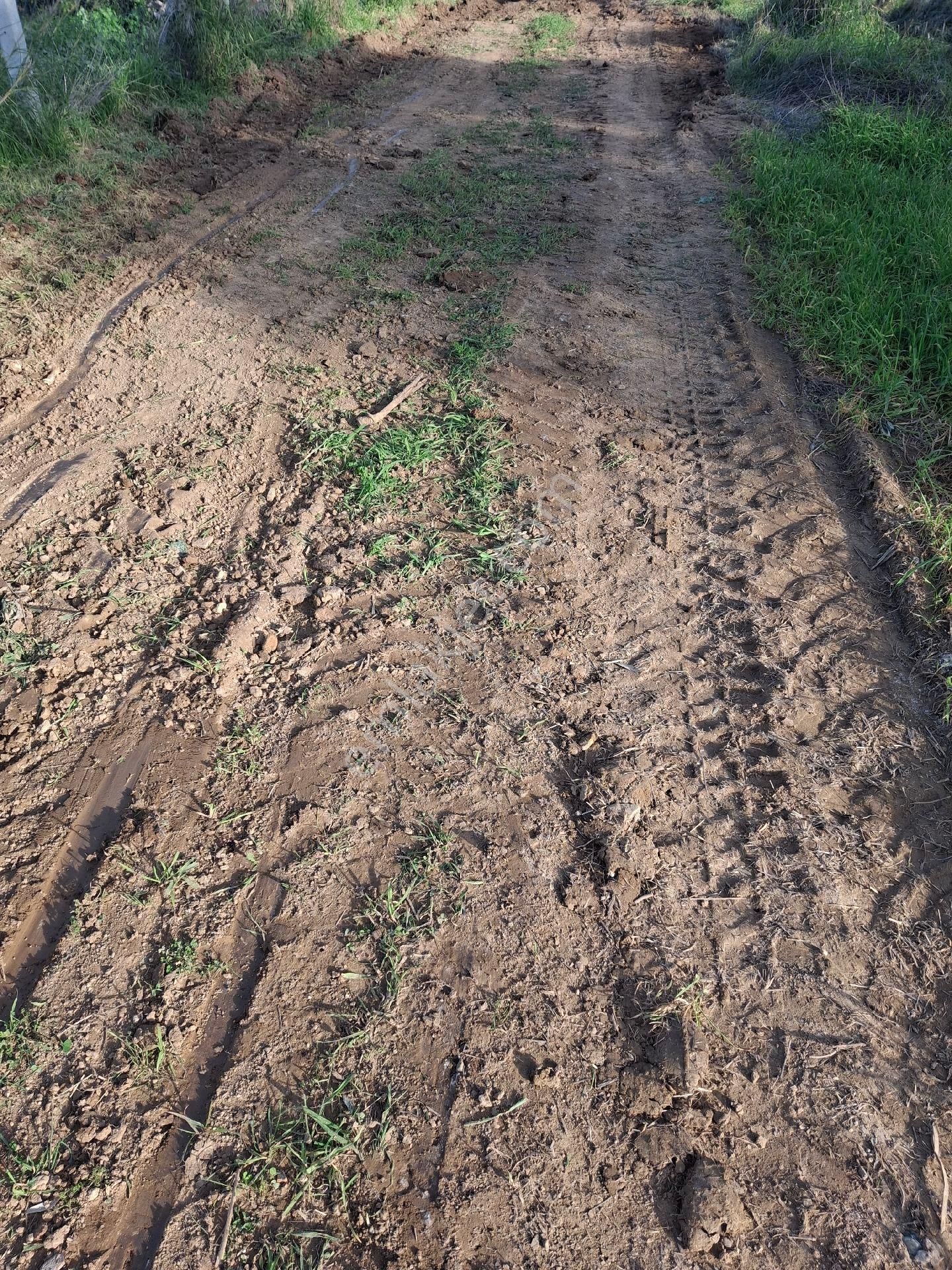 Mirya'dan - Görsel 9