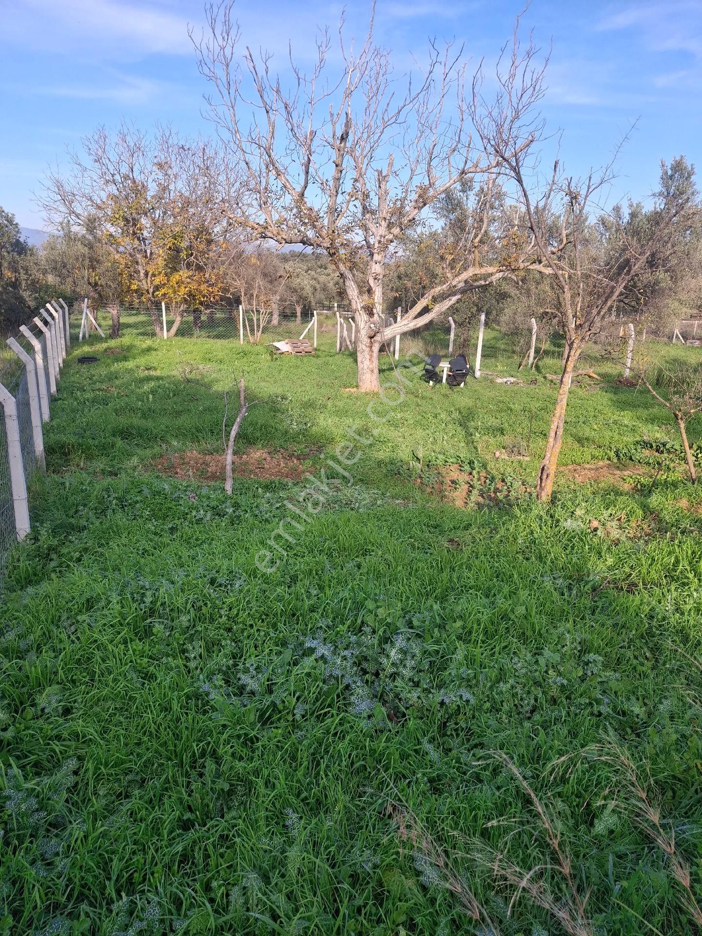 Mirya'dan - Görsel 10