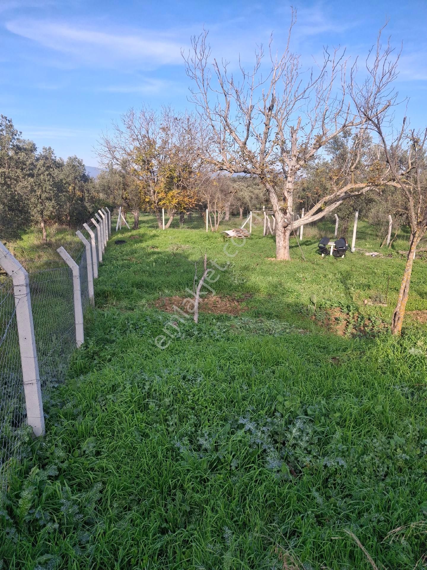 Mirya'dan - Görsel 5