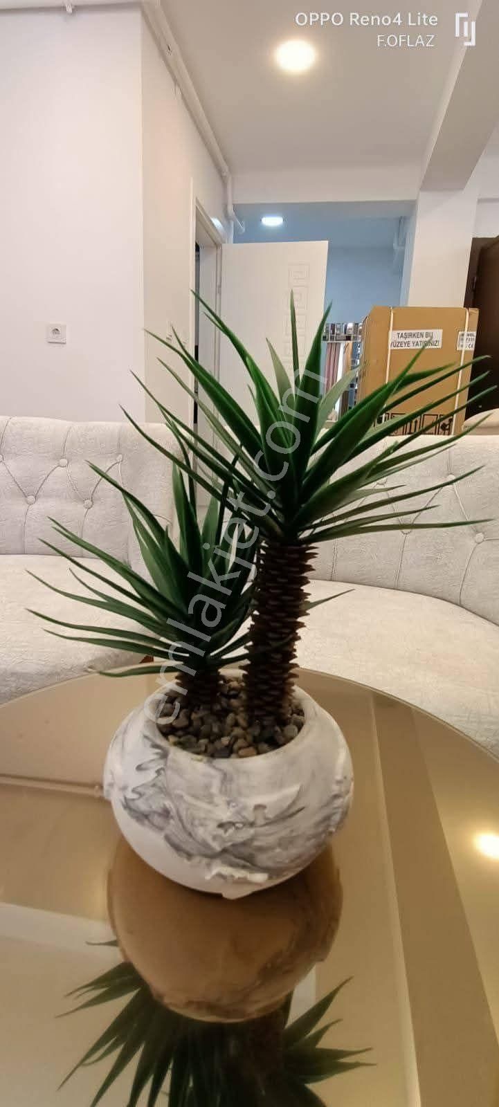 Satılık Ters Dublex Apart Fesleğen Mevkisinde - Görsel 2