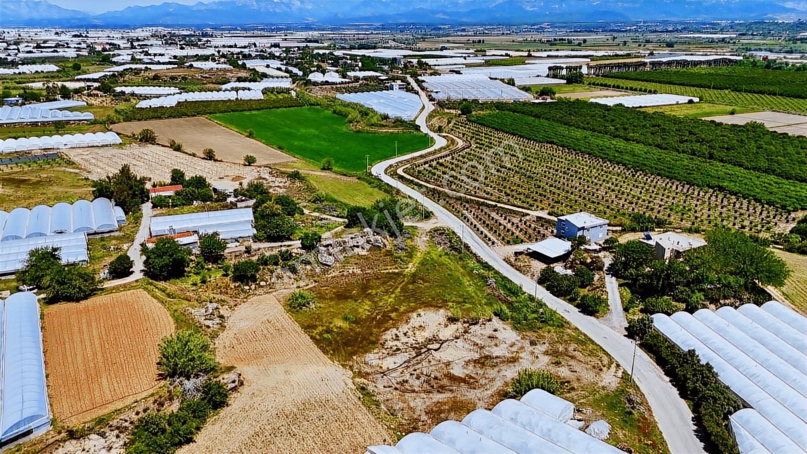 Aksu Gökdere Mah. Depo.. Sera Veya Çiftlik Arazısı - Görsel 13