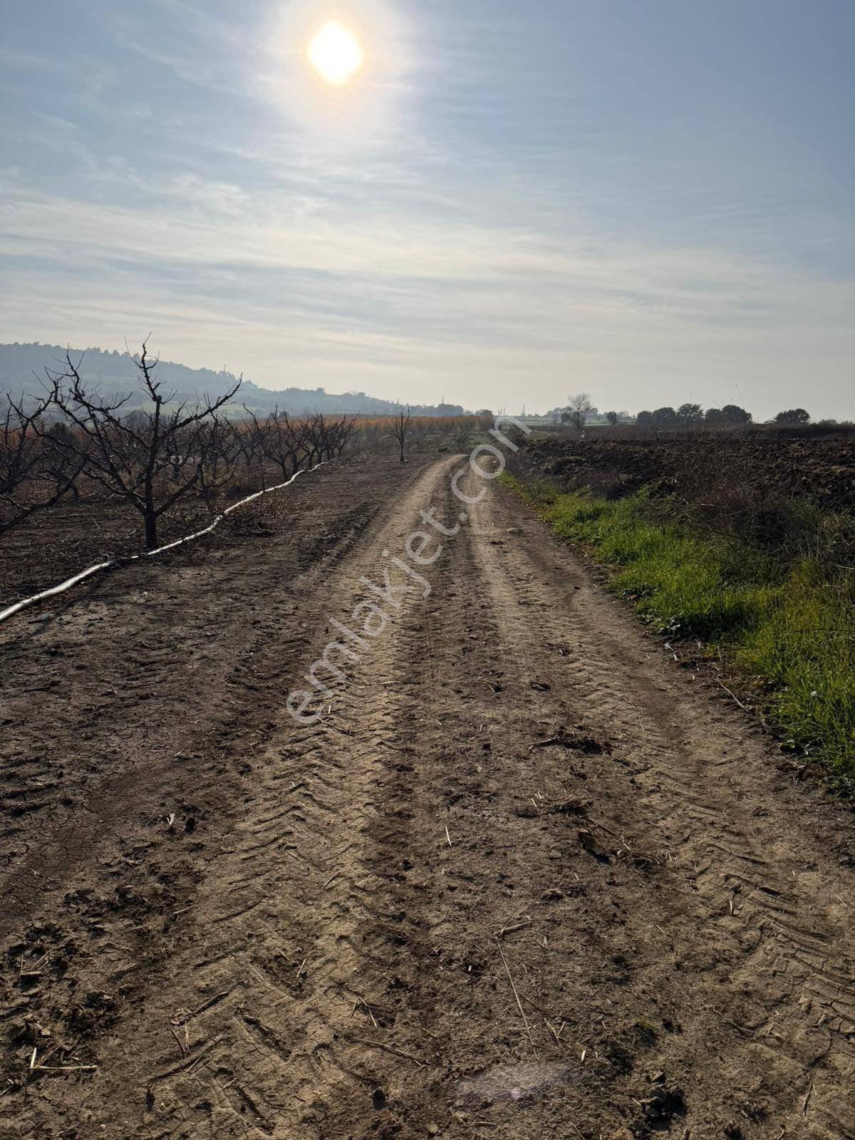 Çanakkale Kangırlı’da 6975 M2 Satılık Tarla - Görsel 14