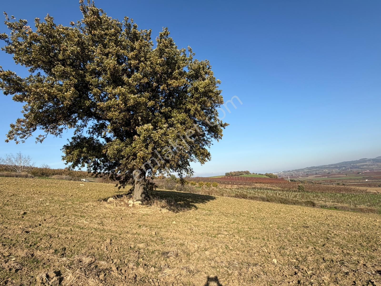 Çanakkale Kangırlı’da 6975 M2 Satılık Tarla - Görsel 8