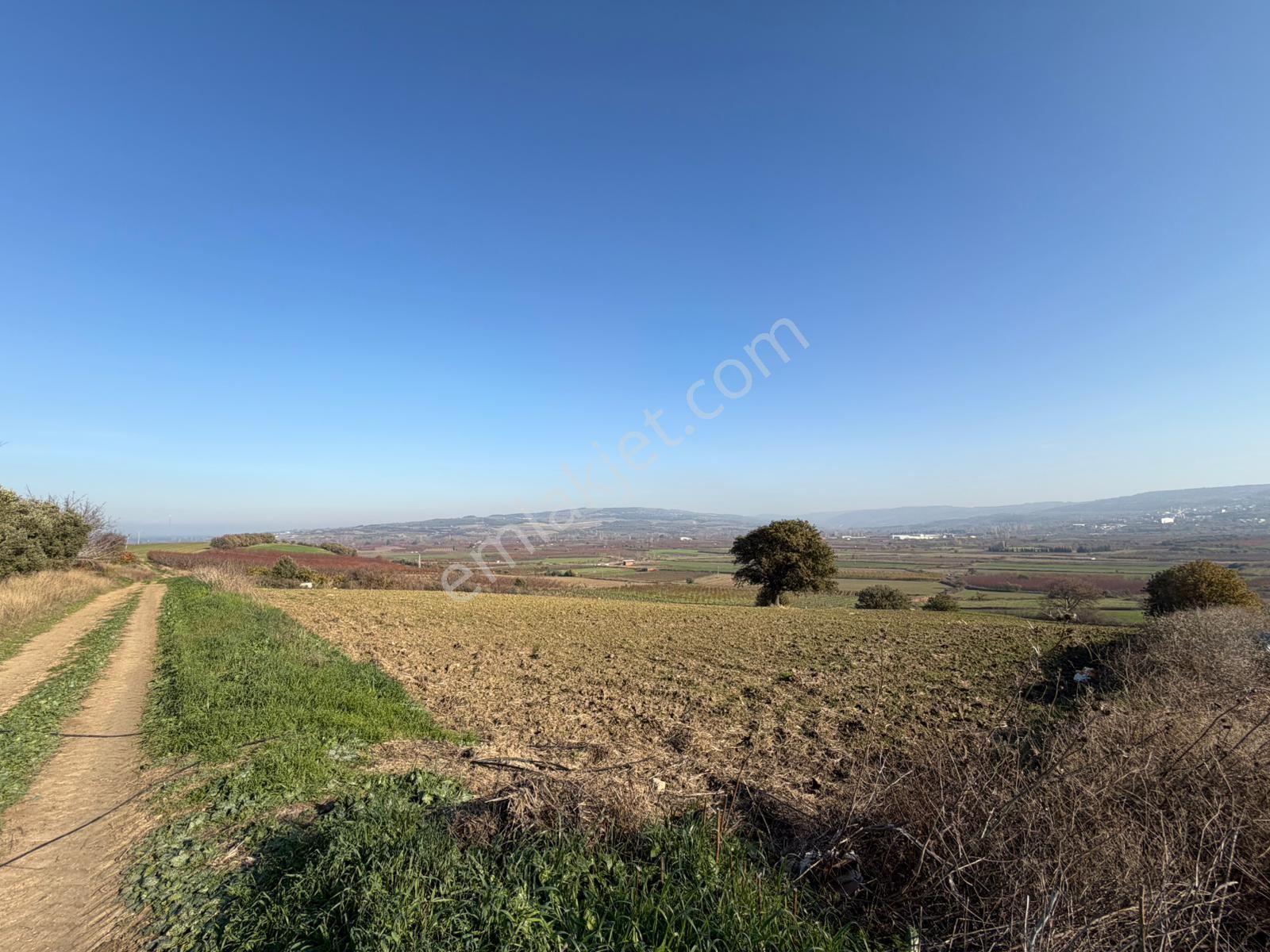 Çanakkale Kangırlı’da 6975 M2 Satılık Tarla - Görsel 7