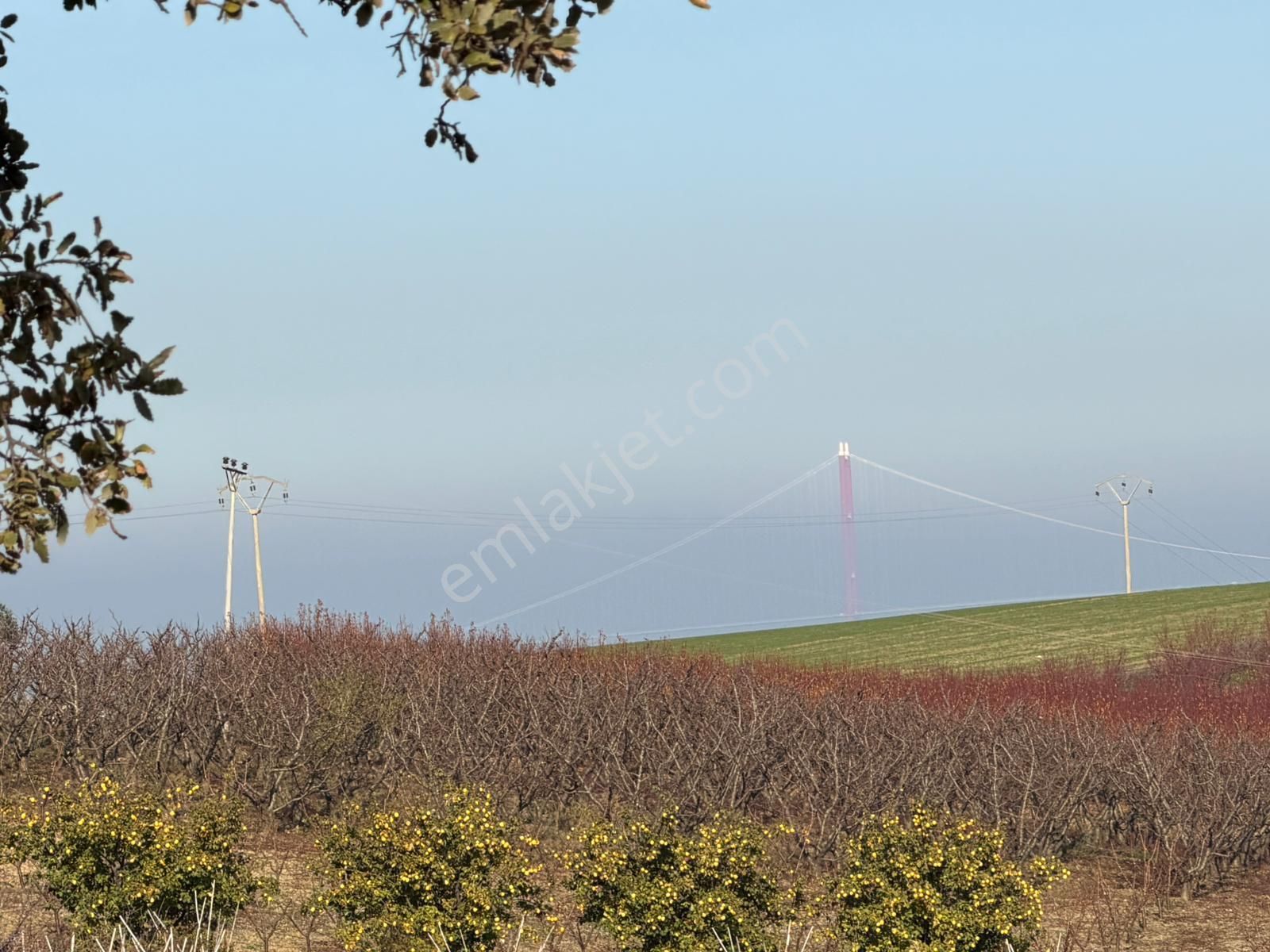 Çanakkale Kangırlı’da 6975 M2 Satılık Tarla - Görsel 9
