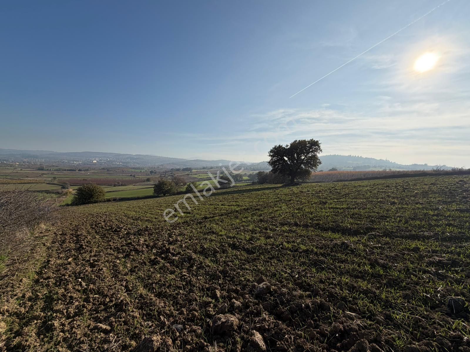 Çanakkale Kangırlı’da 6975 M2 Satılık Tarla - Görsel 12