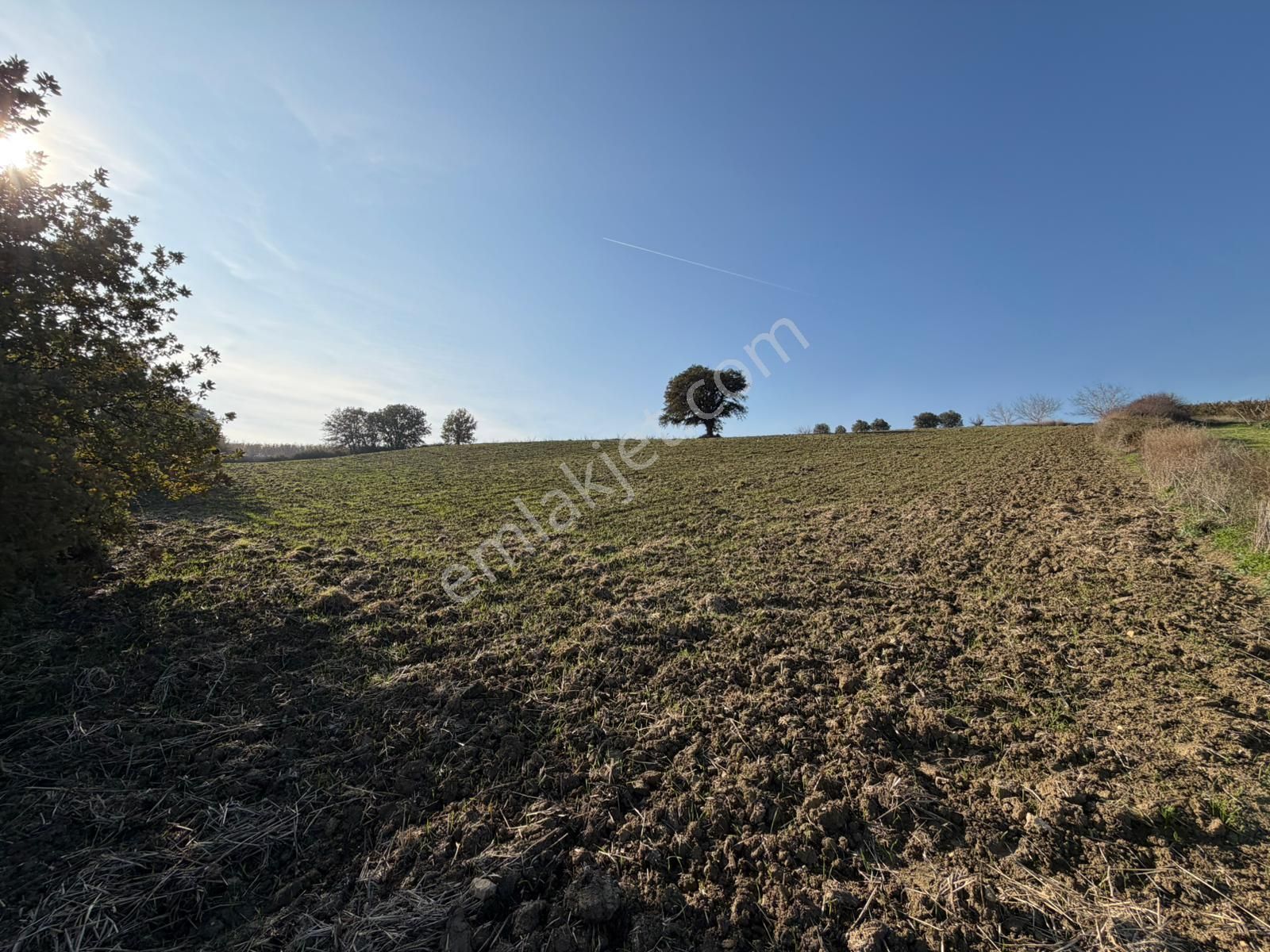 Çanakkale Kangırlı’da 6975 M2 Satılık Tarla - Görsel 11