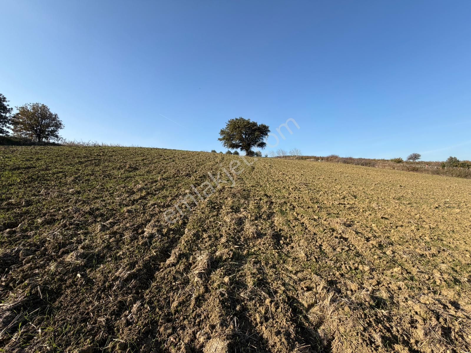 Çanakkale Kangırlı’da 6975 M2 Satılık Tarla - Görsel 10