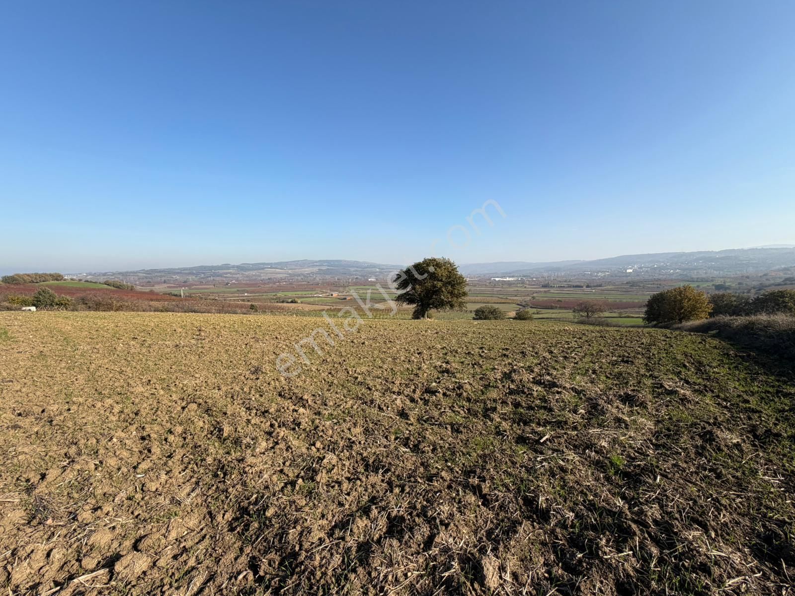 Çanakkale Kangırlı’da 6975 M2 Satılık Tarla - Görsel 6