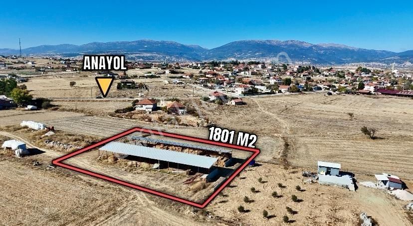 Bozova Merkezde Çiftlik