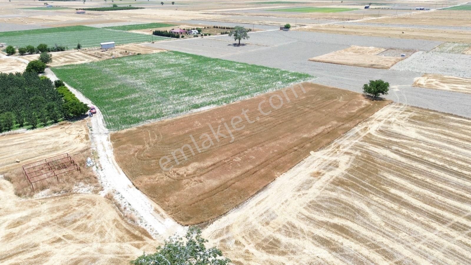 Karatas Mah De Araç Takaslı Sondajlı Bahçe - Görsel 5