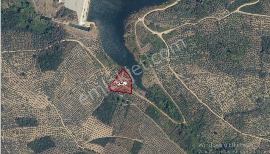 Gemlik Küçükkumla Da Gölete Cephe 3276m² Satılık Zeytinlik - Görsel 2