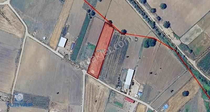 Çanakkale Biga Gemicikırı 3.192 M2 Köy İçi Satılık Tarla