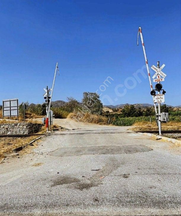 Aydın Sultanhisar Atça Mahallesinde Satılık Bahçe - Görsel 2