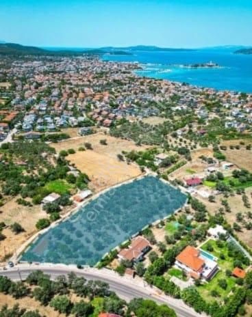 *denize Yakın Çeşmealtı'nda Kazançlı Yatırım Zeytinlik*