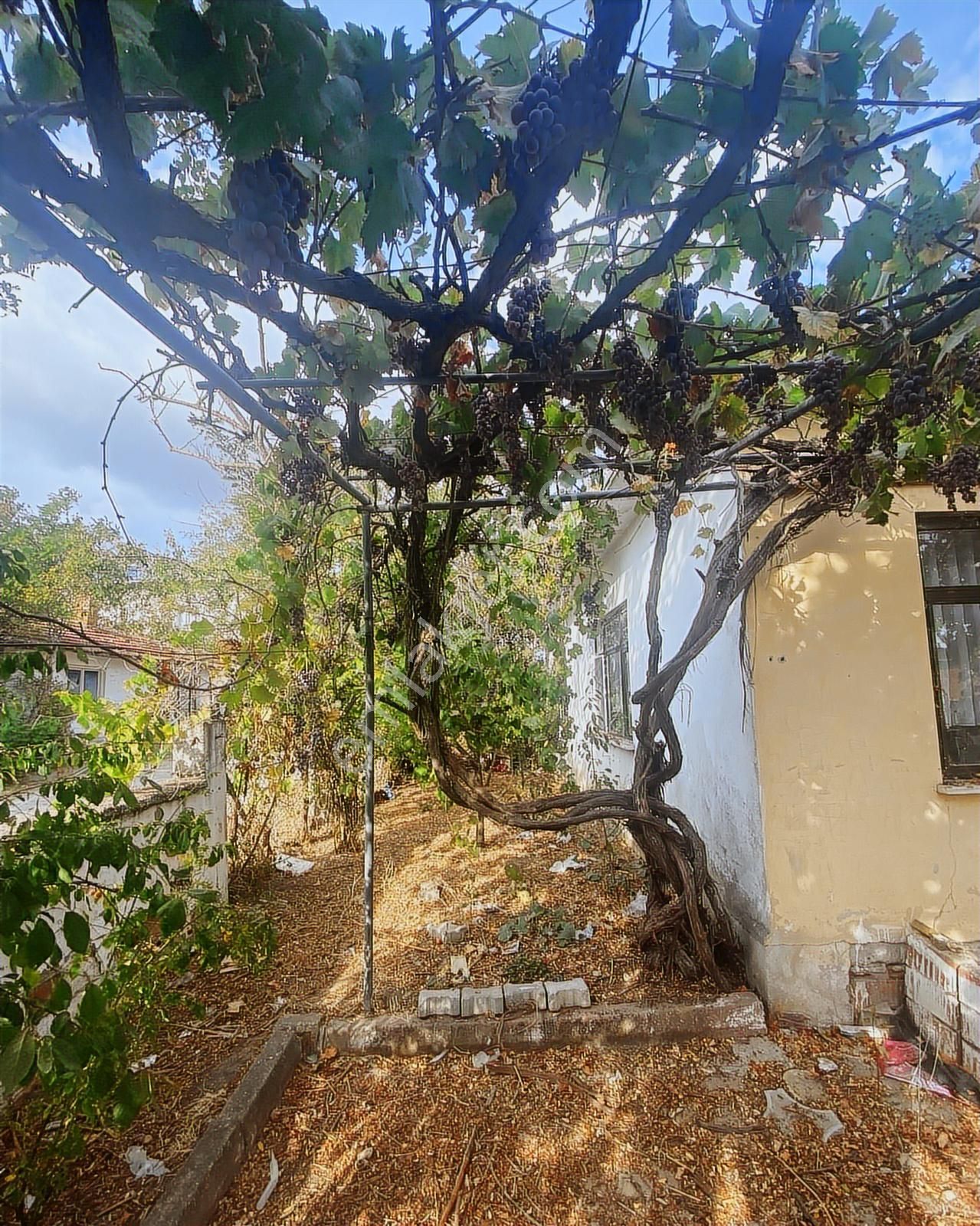 Korkmaz Gayrimenkulden Seymende Satılık Fırsat Arsa - Görsel 4