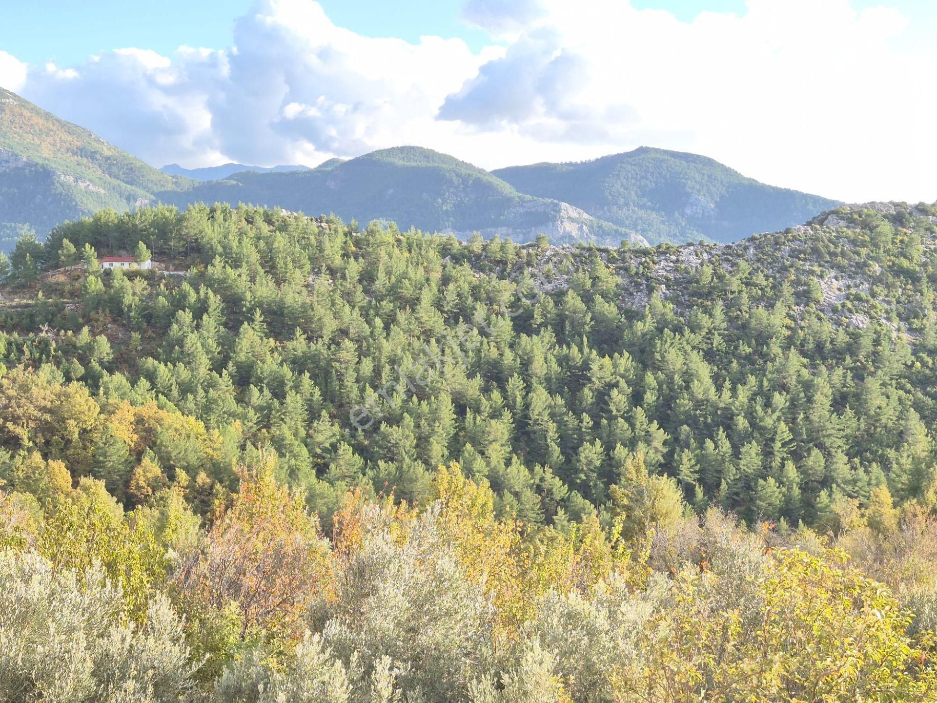 Alanya Bademağacın Da Satılık Bahçelei Müstakil Ev - Görsel 33