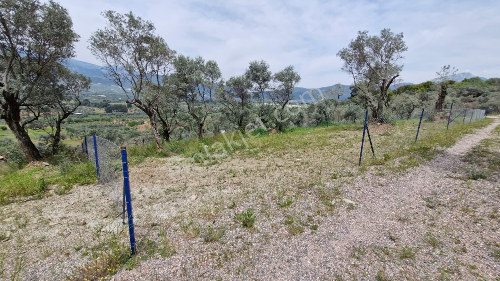 Novas Gayrimenkul'den Yeşilköy'de Satılık 342m² Tapulu Bahçe