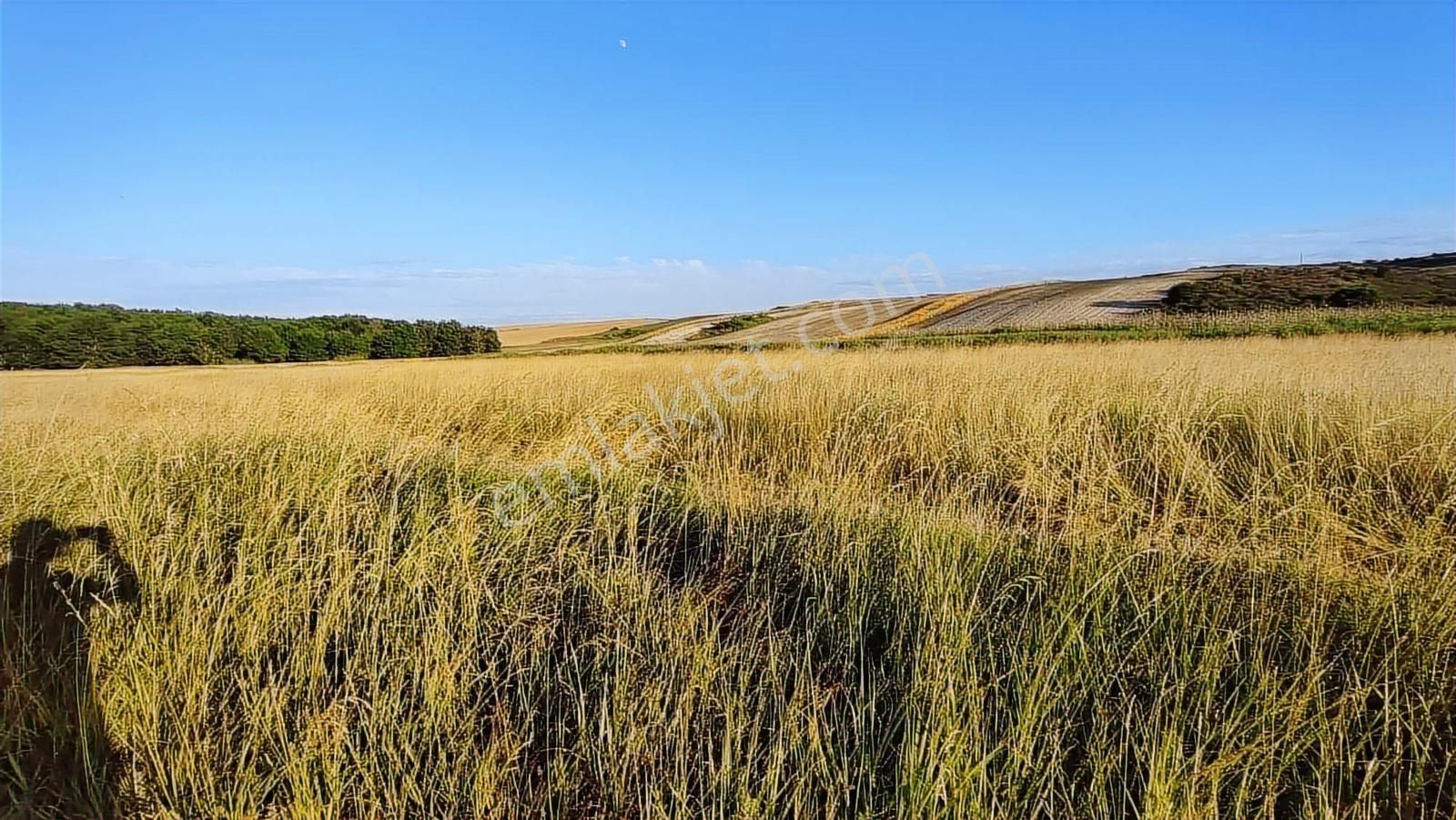 Emlakyap Tan Kanal İstanbul A Cephe 7814 M2 Satılık Arsa - Görsel 4