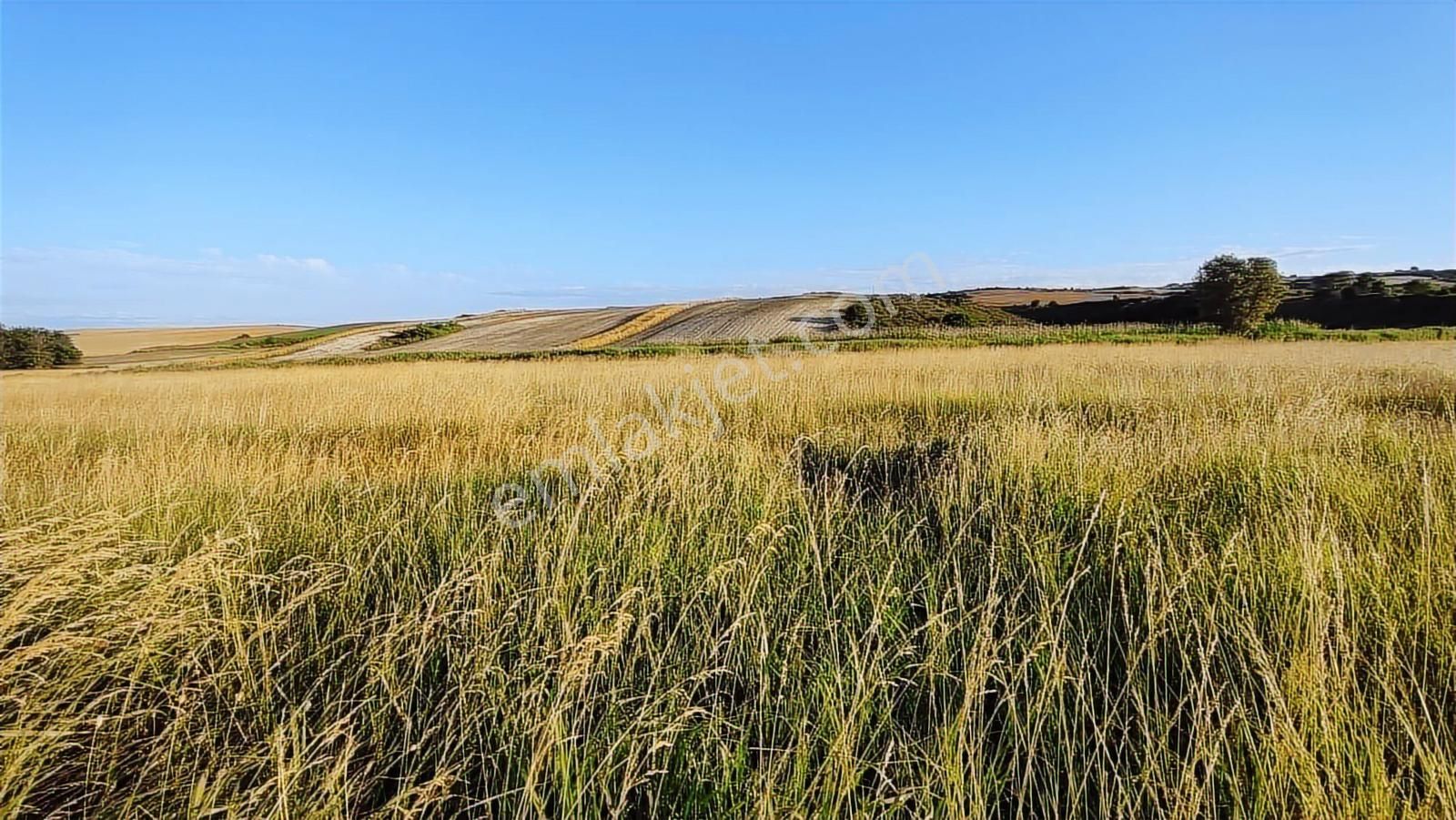 Emlakyap Tan Kanal İstanbul A Cephe 7814 M2 Satılık Arsa - Görsel 9