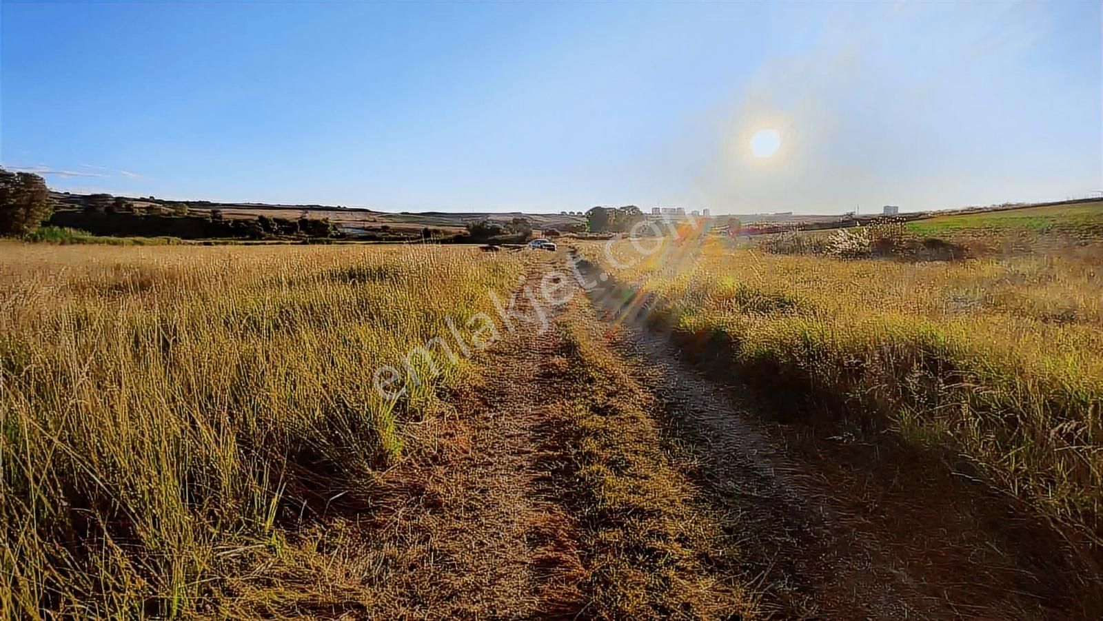 Emlakyap Tan Kanal İstanbul A Cephe 7814 M2 Satılık Arsa