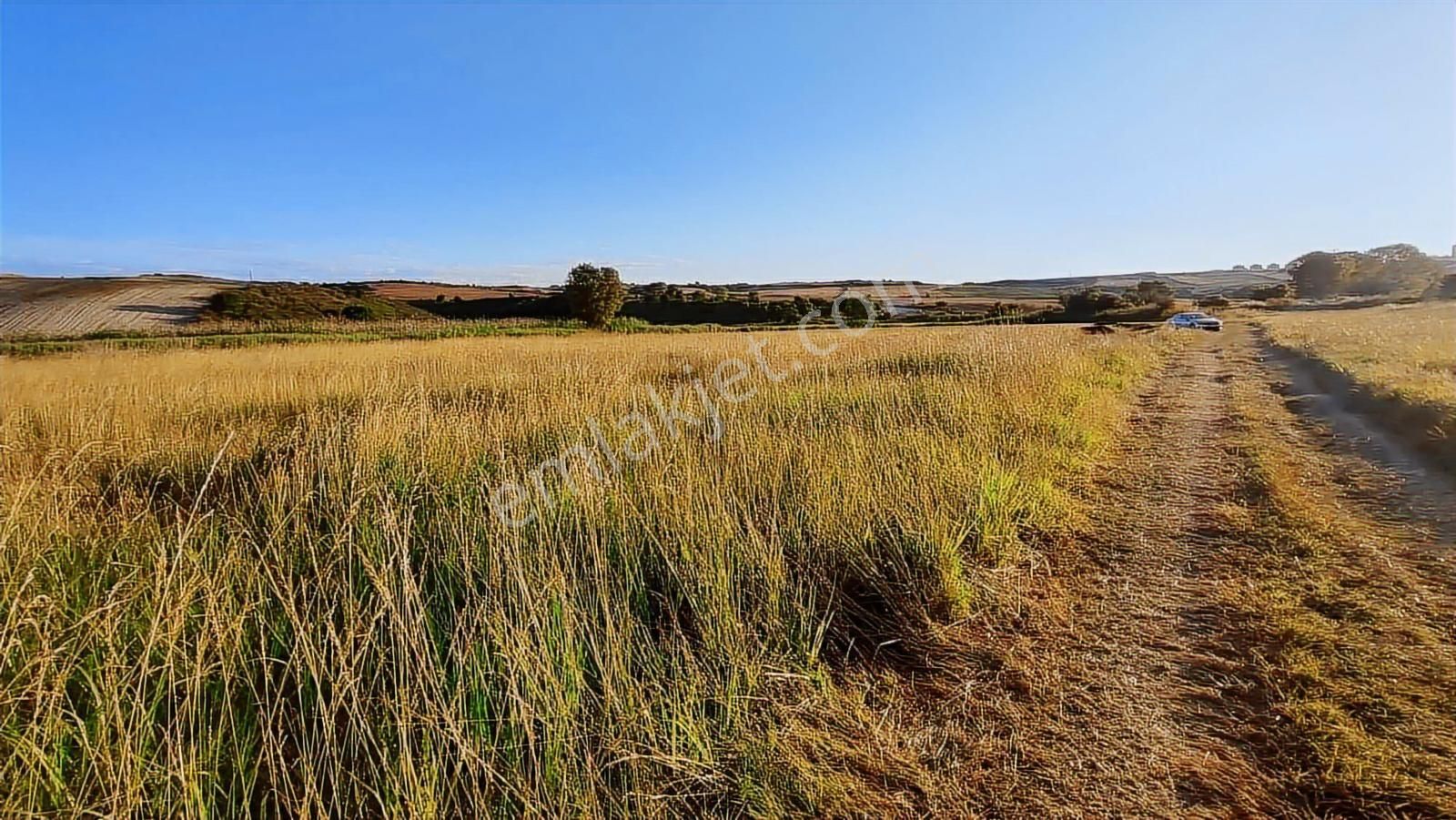 Emlakyap Tan Kanal İstanbul A Cephe 7814 M2 Satılık Arsa - Görsel 11